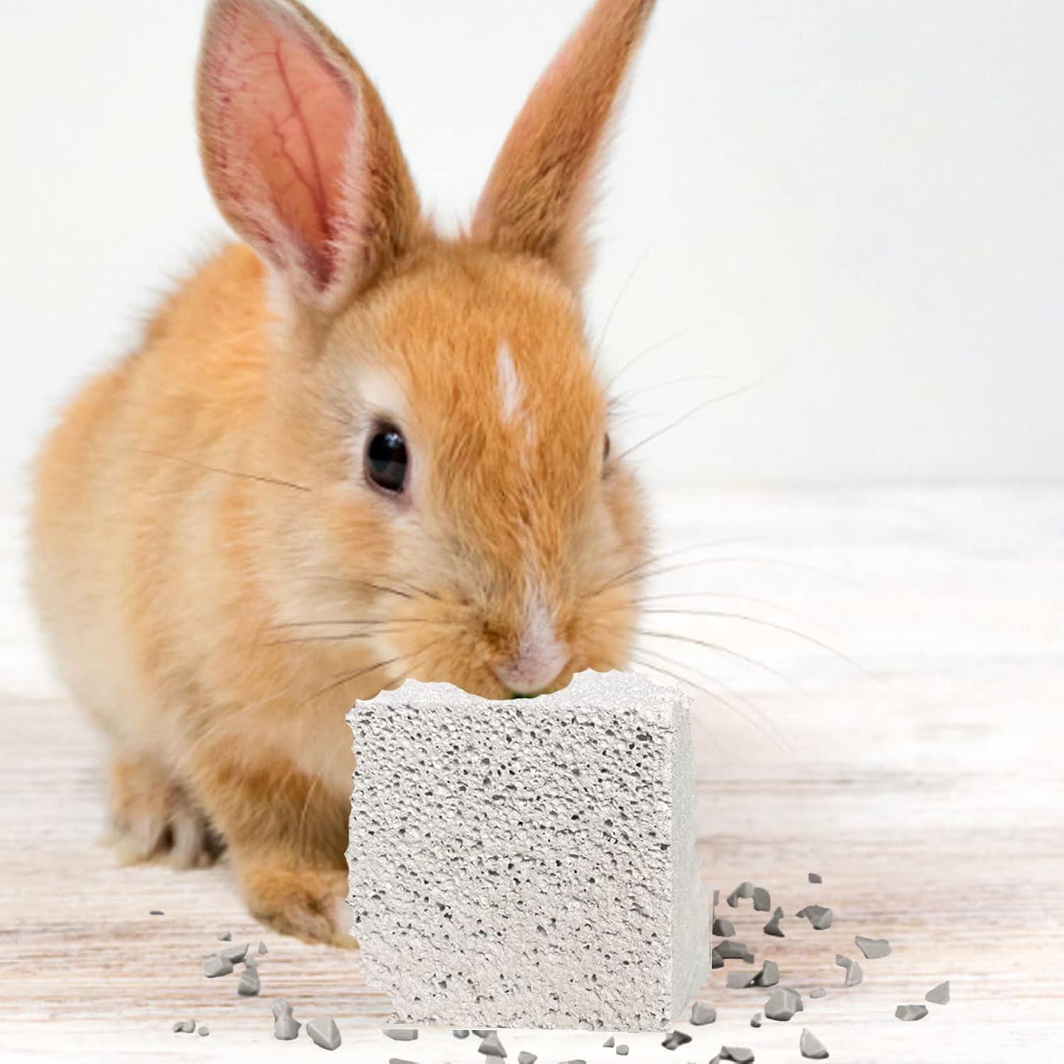 Piedras de Molienda para Dientes de Conejo Kathson 15 Pcs