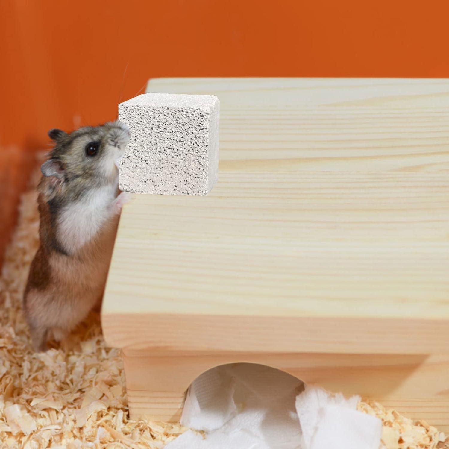 Piedras de Molienda para Dientes de Conejo Kathson 15 Pcs