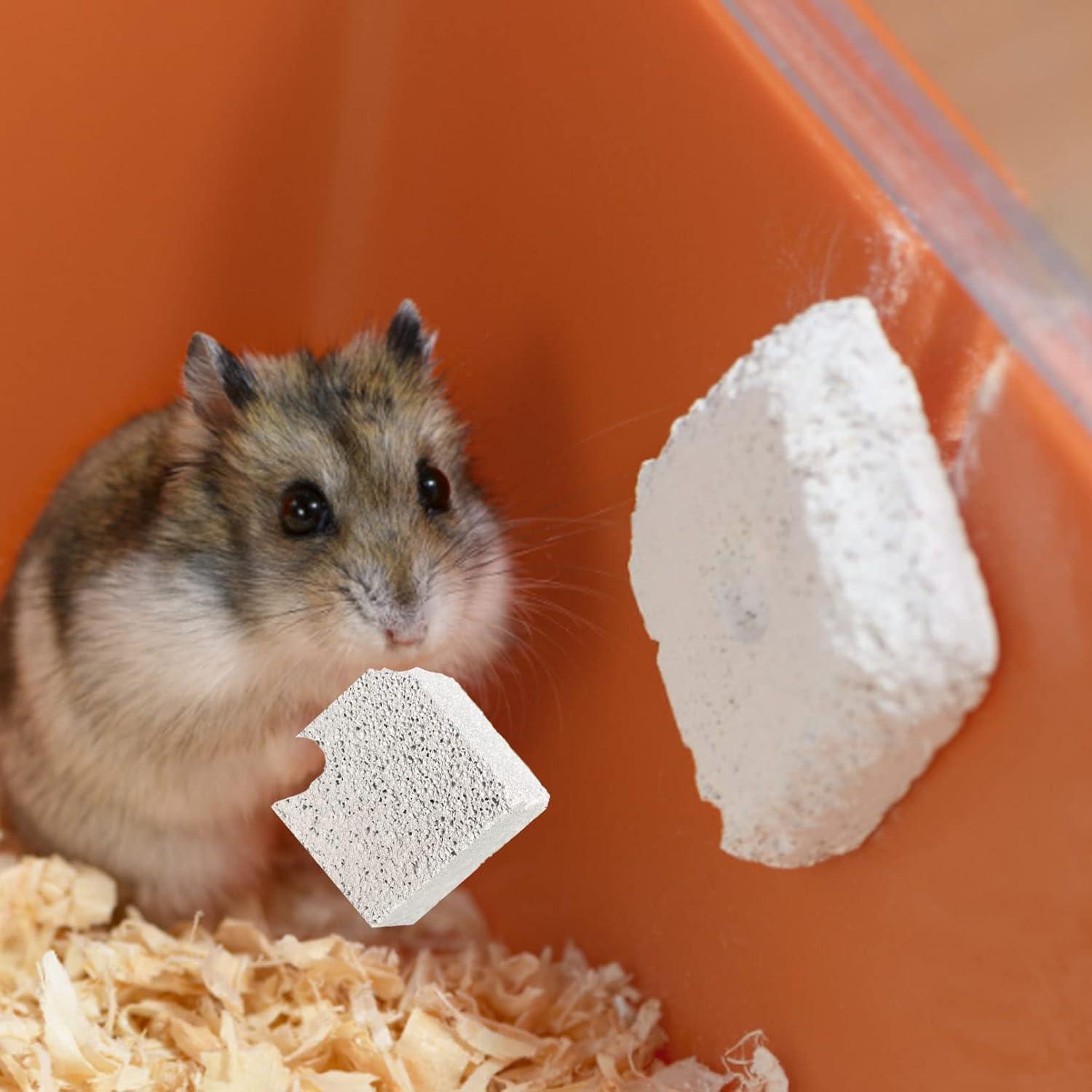 Piedras de Molienda para Dientes de Conejo Kathson 15 Pcs