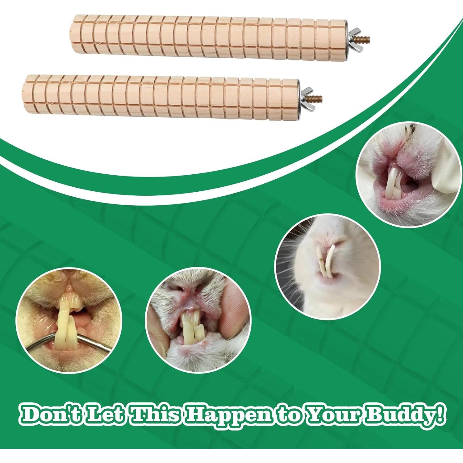 Juguetes de Madera para Roer MinrzPet - 2 Paquete para Cobayas y Conejos