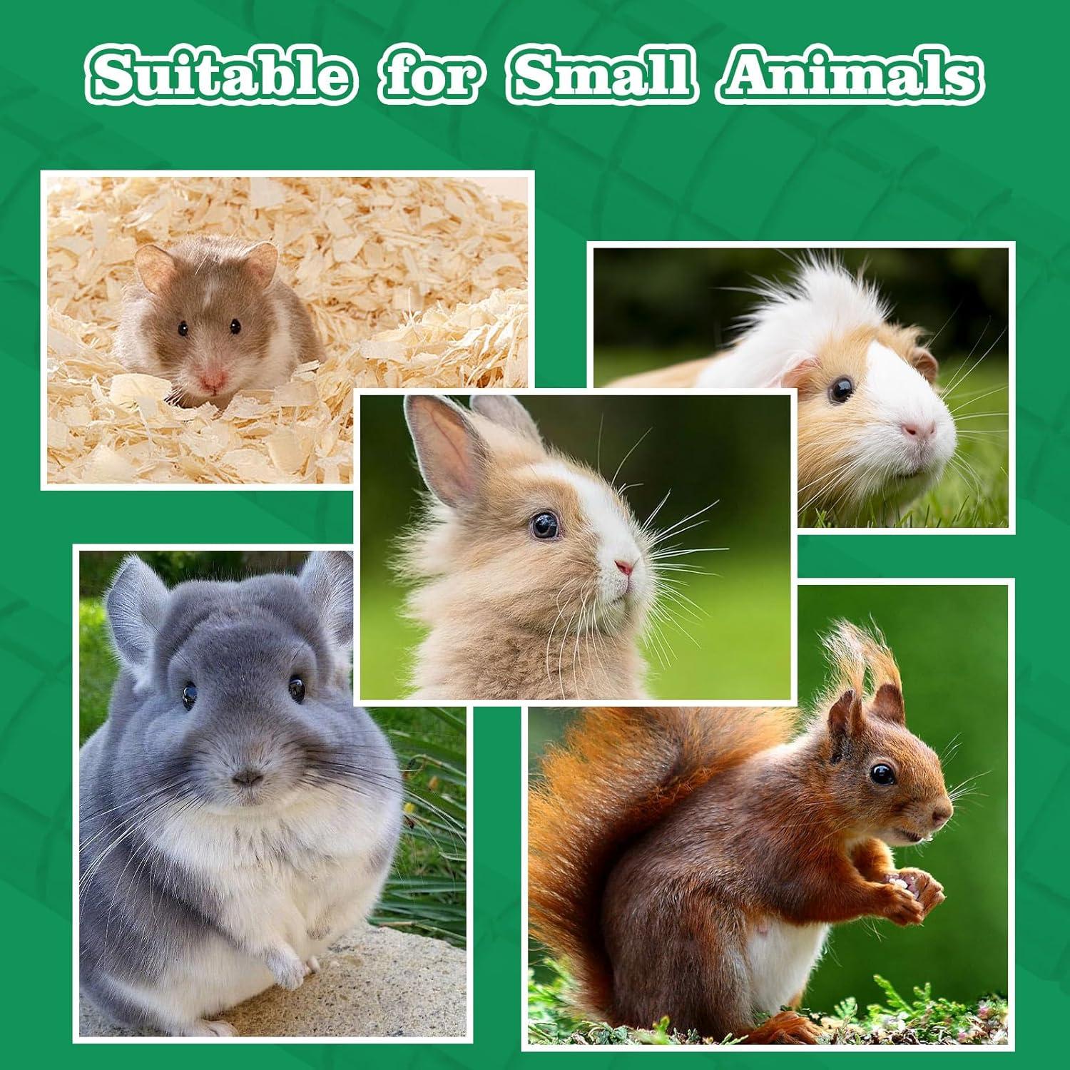 Juguetes de Madera para Roer MinrzPet - 2 Paquete para Cobayas y Conejos