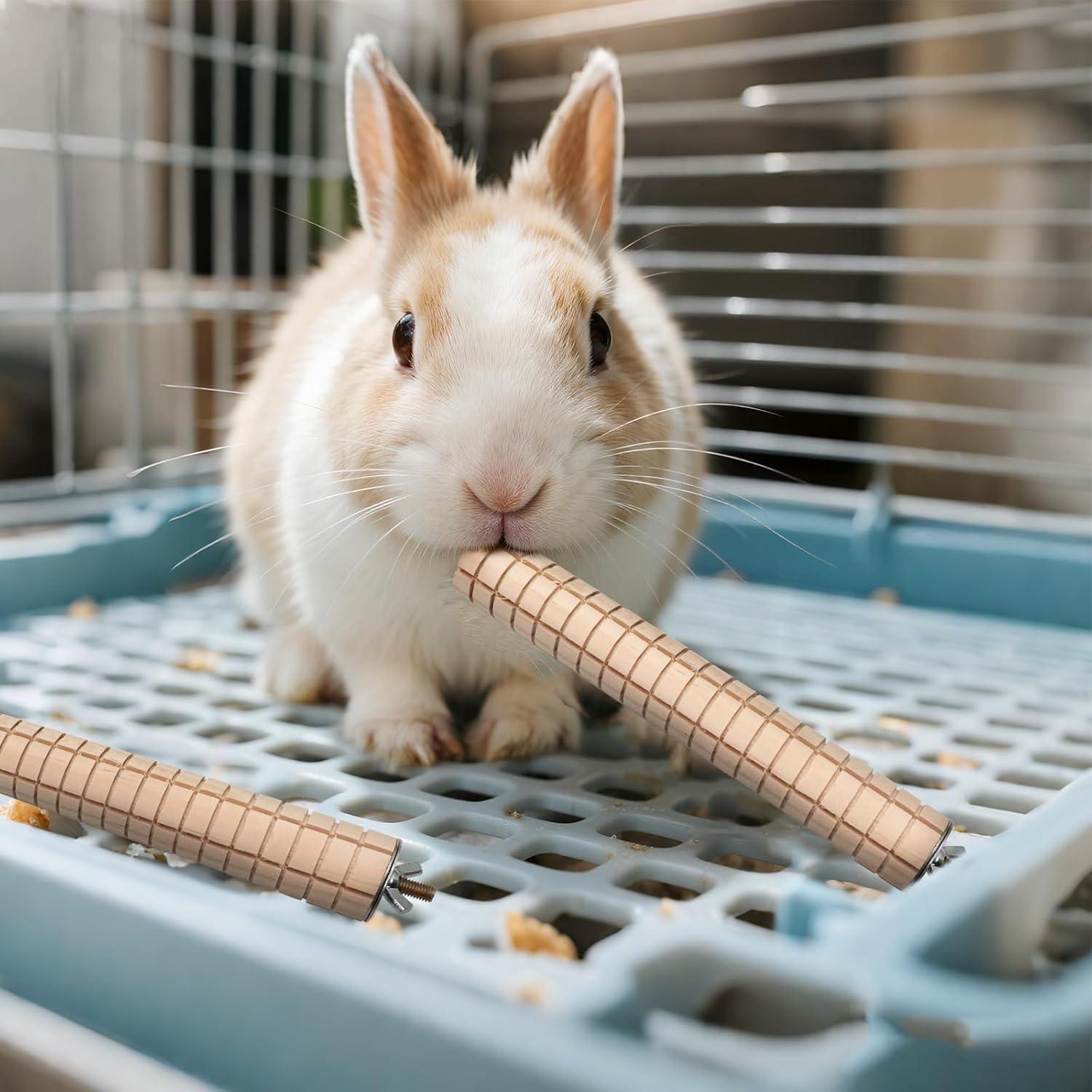 Juguetes de Madera para Roer MinrzPet - 2 Paquete para Cobayas y Conejos