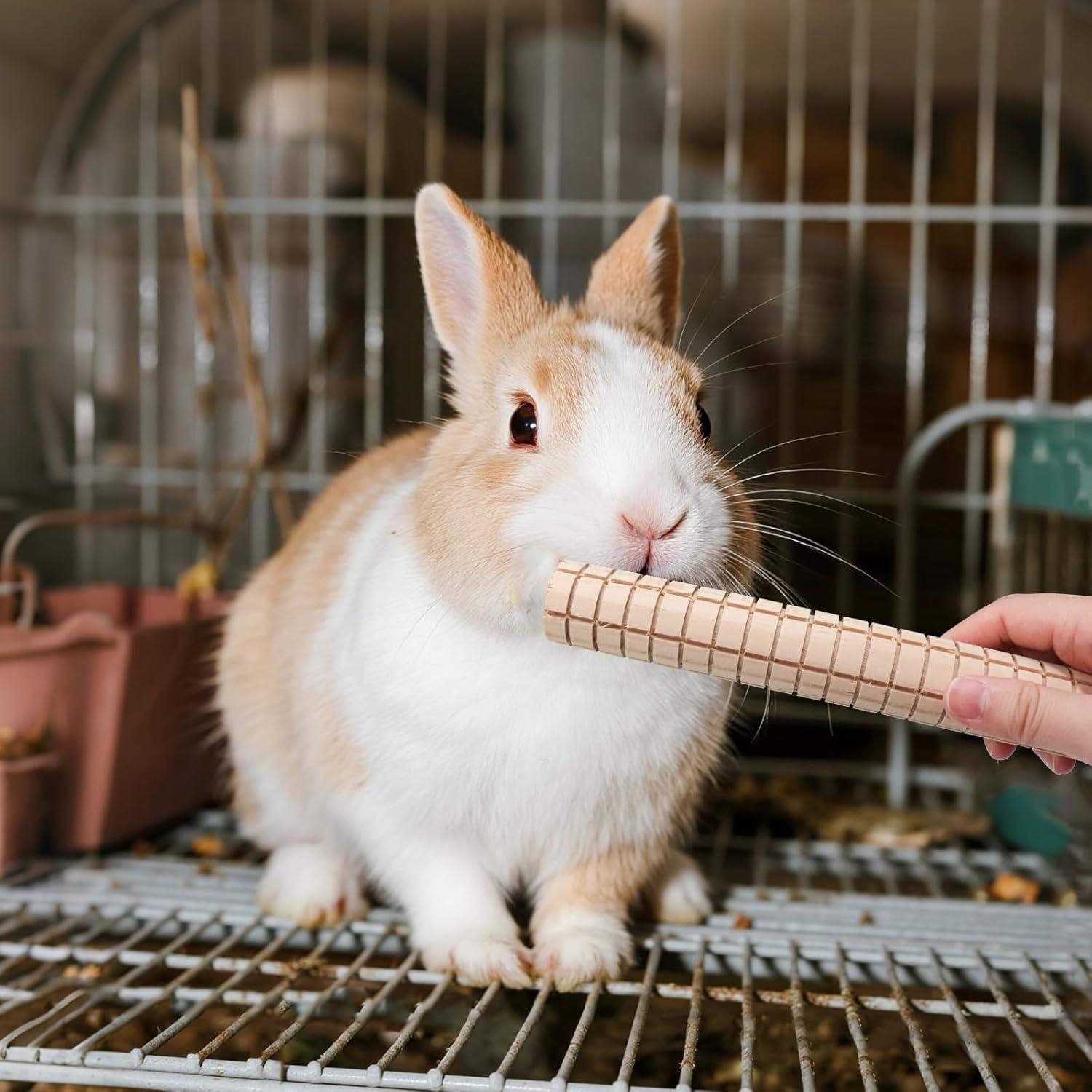 Juguetes de Madera para Roer MinrzPet - 2 Paquete para Cobayas y Conejos