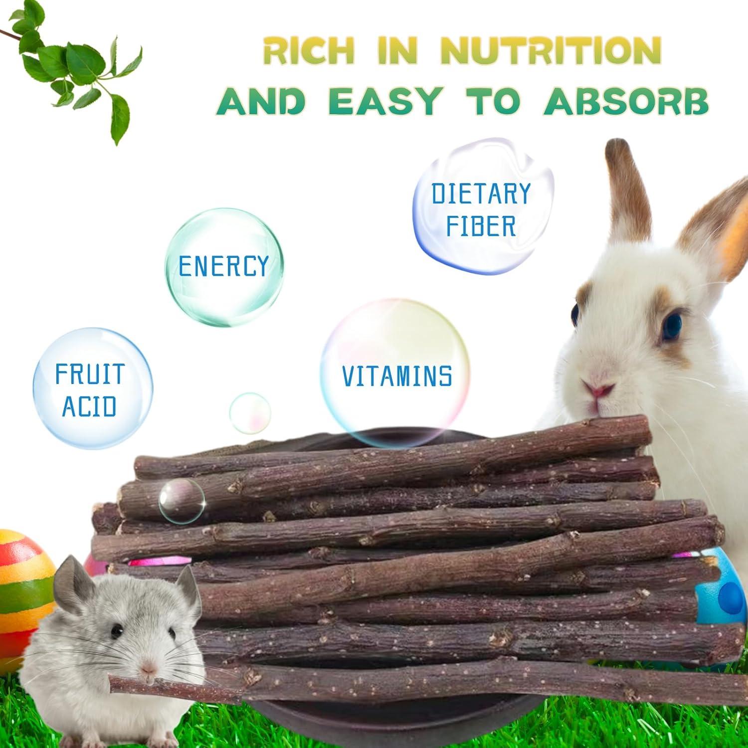 Palitos de Madera de Manzana Natural 550g para Roedores