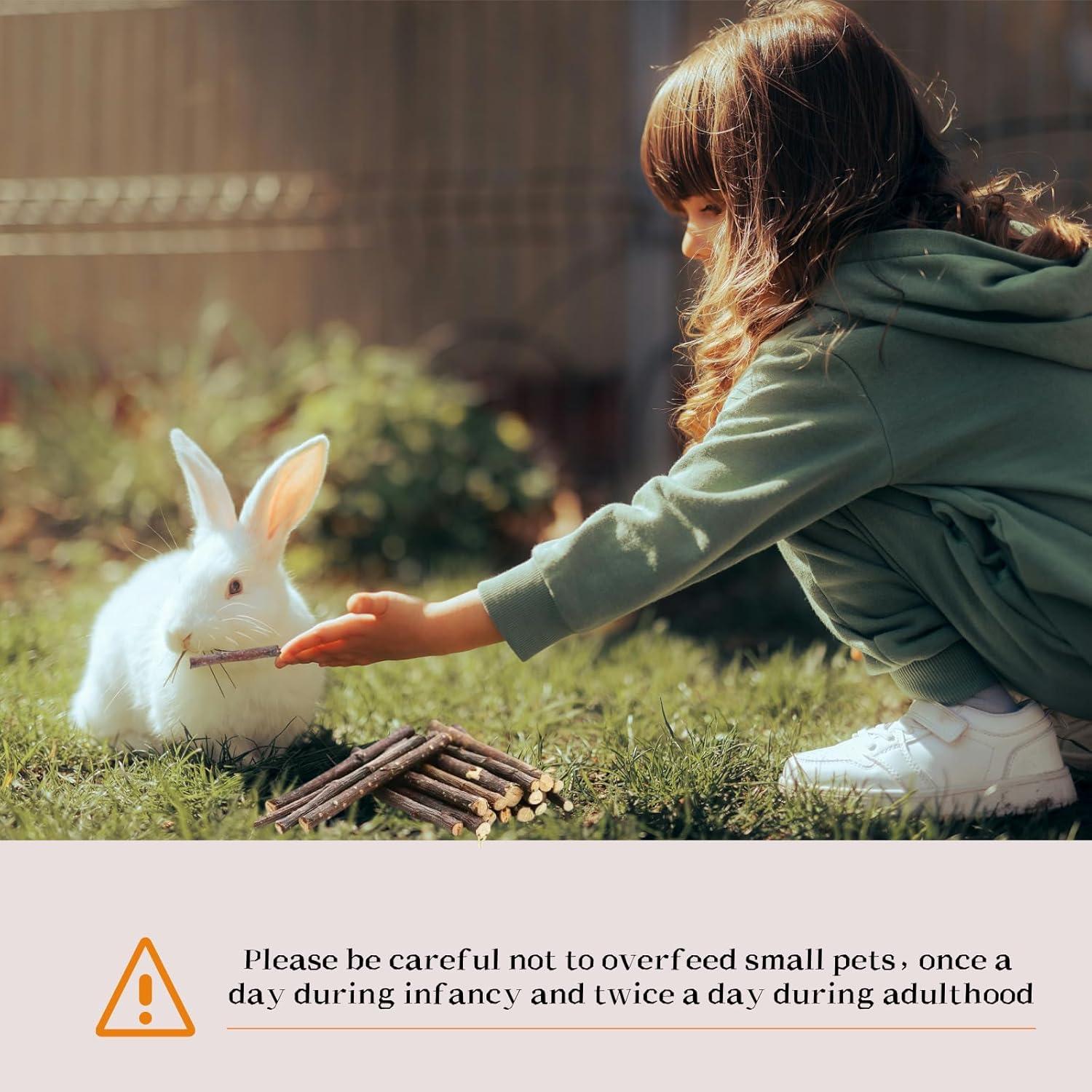 Palitos de Madera de Manzana Natural 550g para Roedores