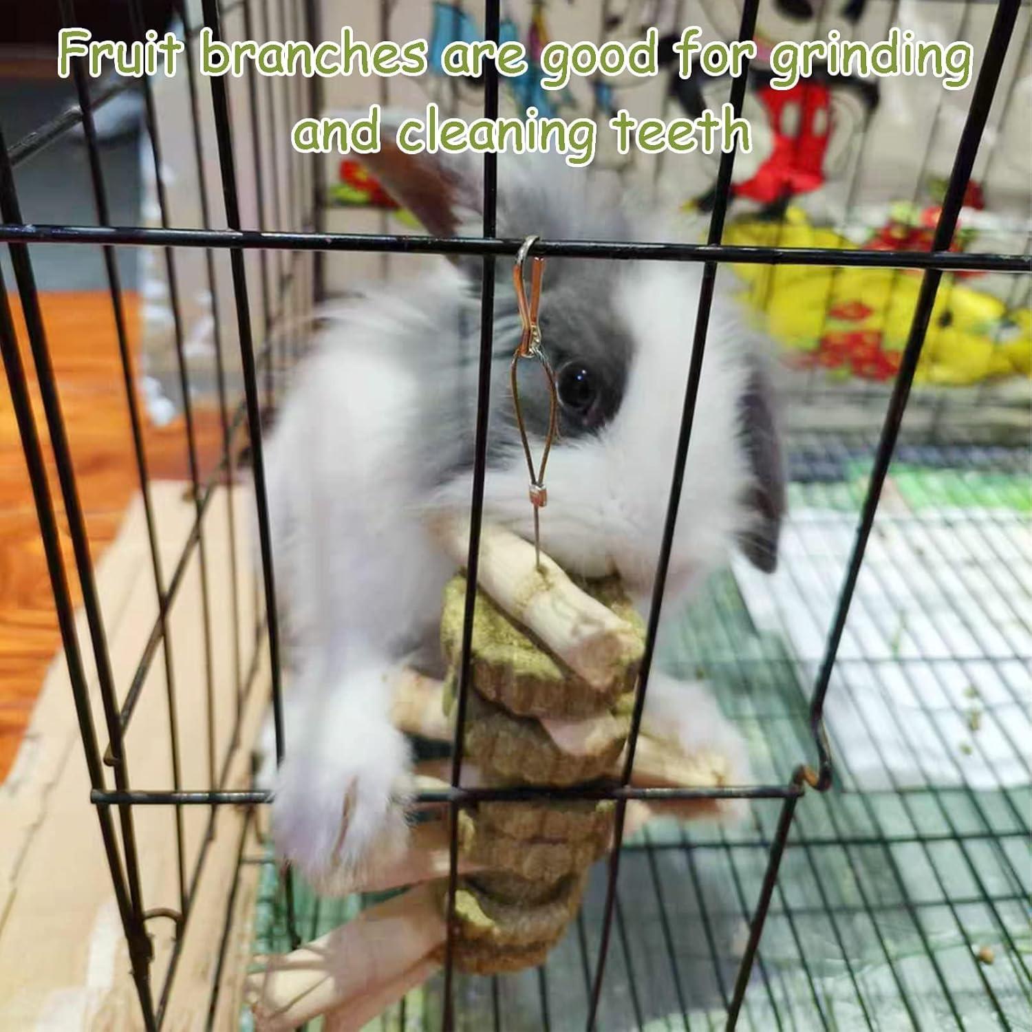 Juguetes de Masticar para Conejos y Hámsters Kathson - 2 Piezas de Bambú Natural