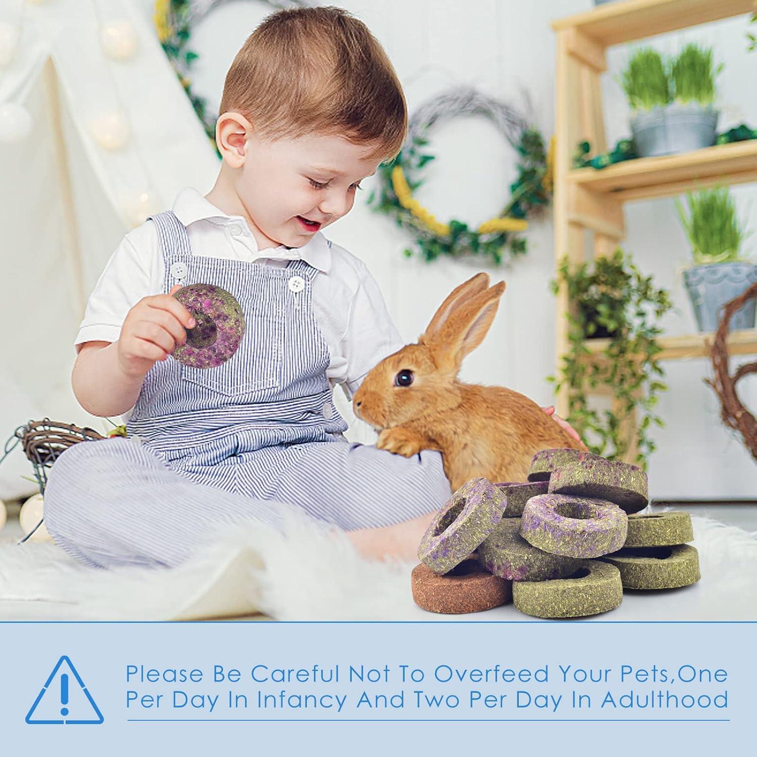 Bissap Juguetes para Roer Conejo 16PCS Pasto Timothy 280g