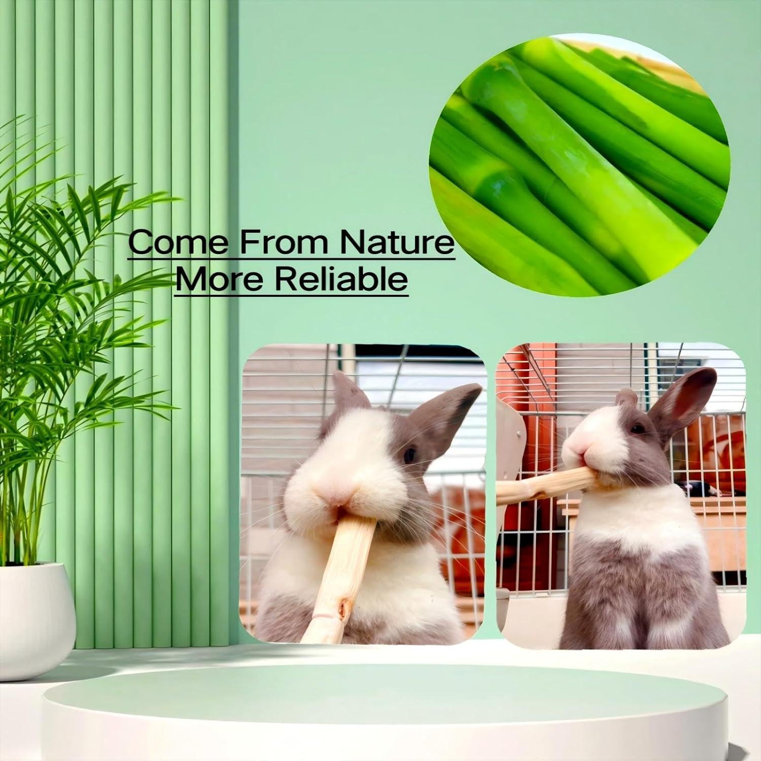 Palitos de Bambú Dulce 700g XLpeixin para Conejos y Hámsters