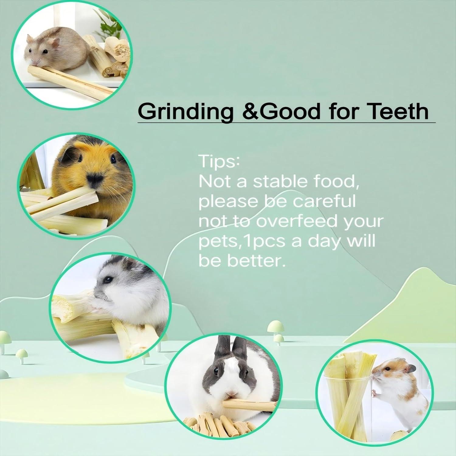 Palitos de Bambú Dulce 700g XLpeixin para Conejos y Hámsters