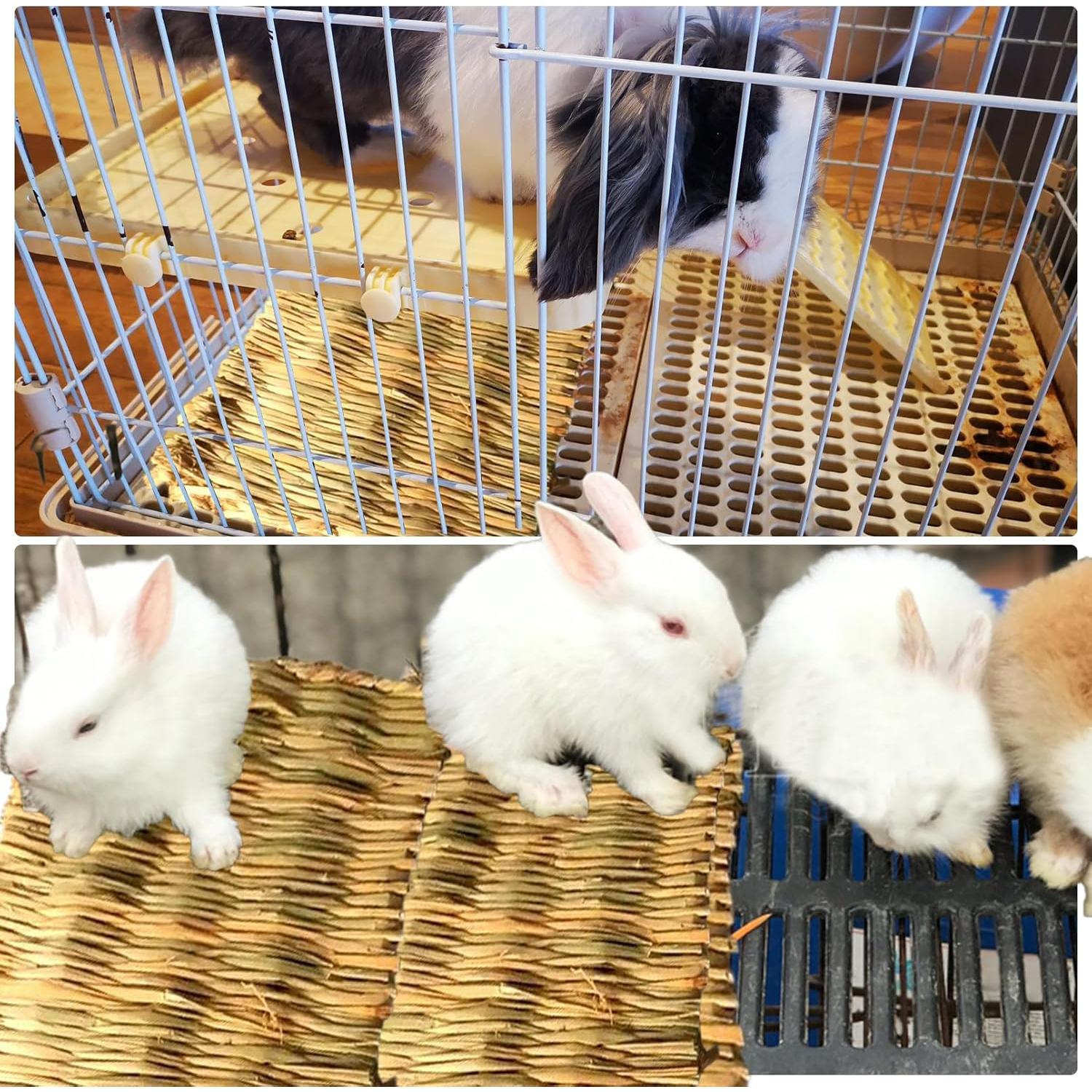 Alfombra de Hierba Natural MUYG para Conejos y Mascotas - 8 PCS