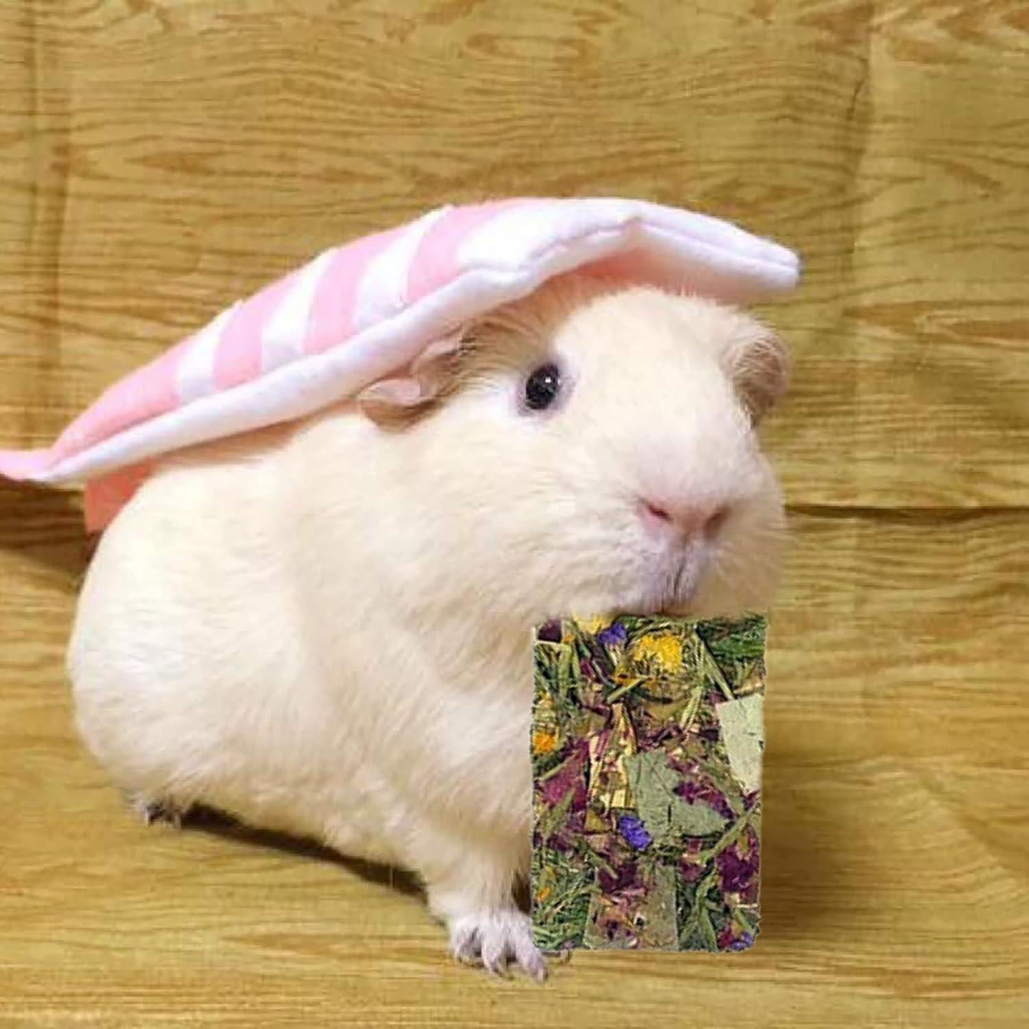 10 Juguetes Naturales para Roer Conejos MUYG - Heno Timothy