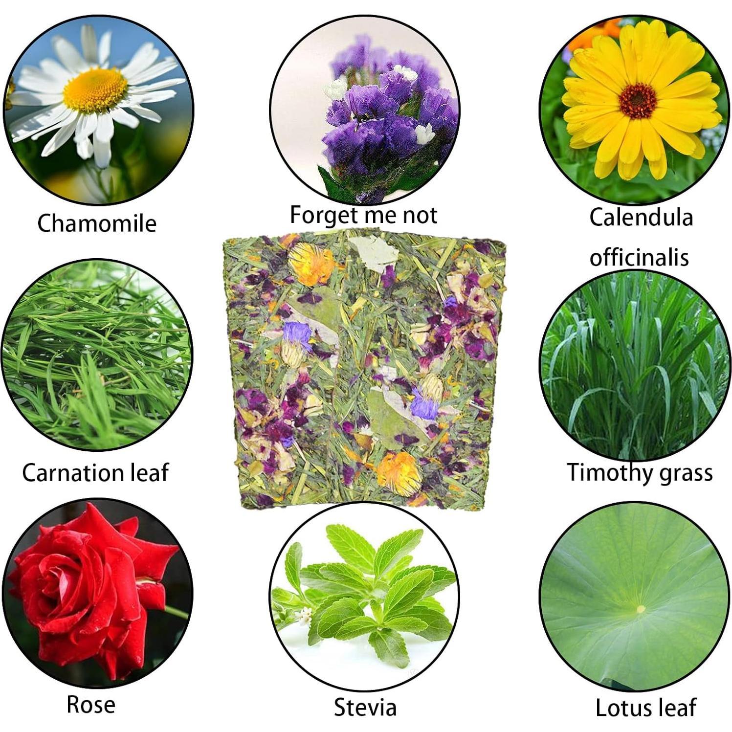 10 Juguetes Naturales para Roer Conejos MUYG - Heno Timothy