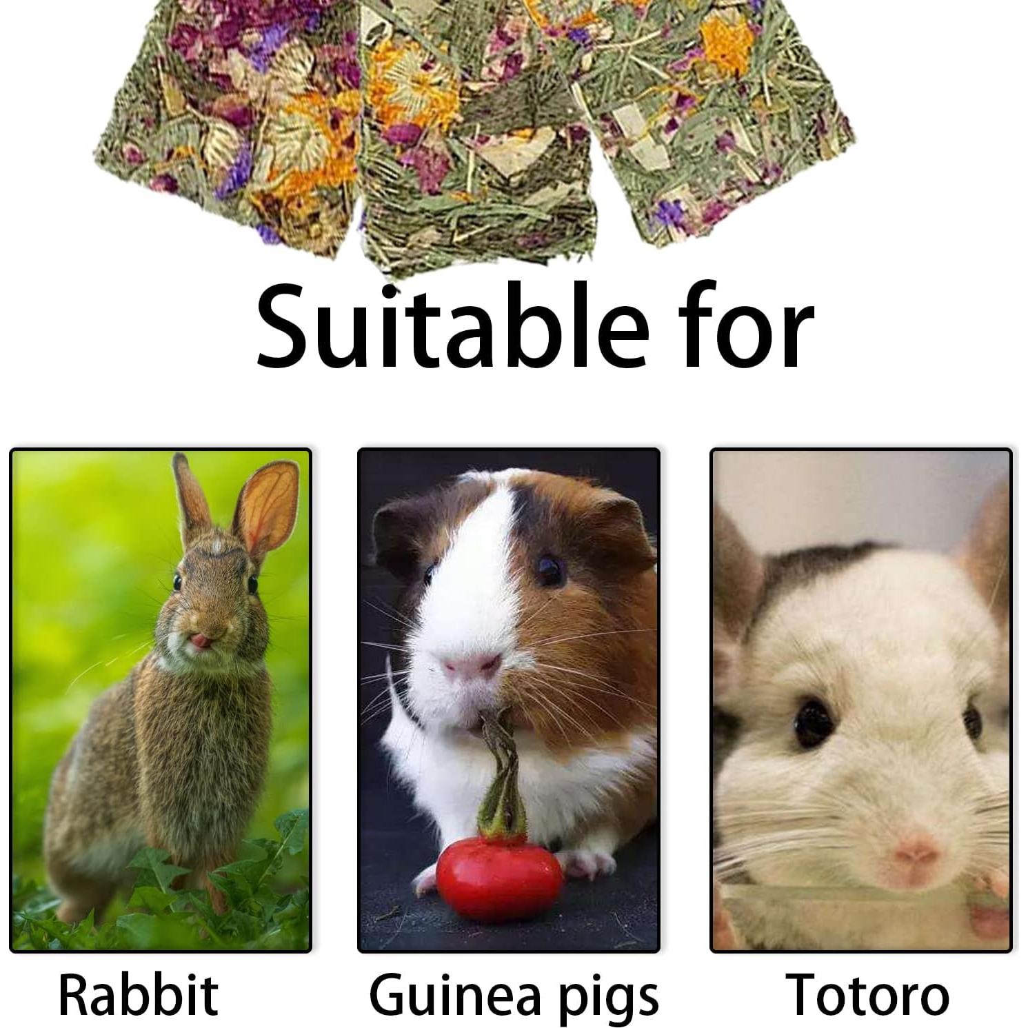 10 Juguetes Naturales para Roer Conejos MUYG - Heno Timothy