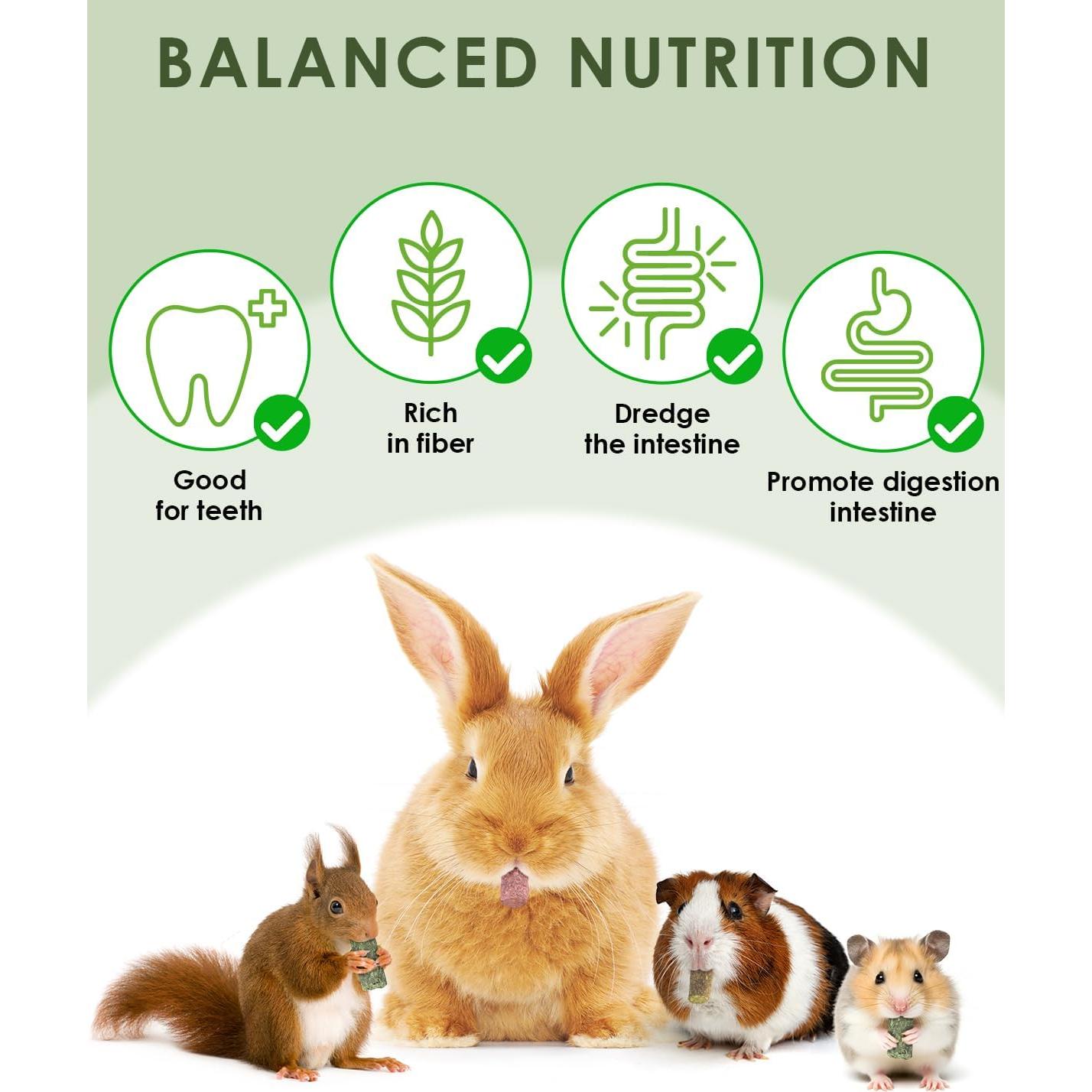 ERKOON 38 Piezas Palitos de Heno Timothy para Roedores
