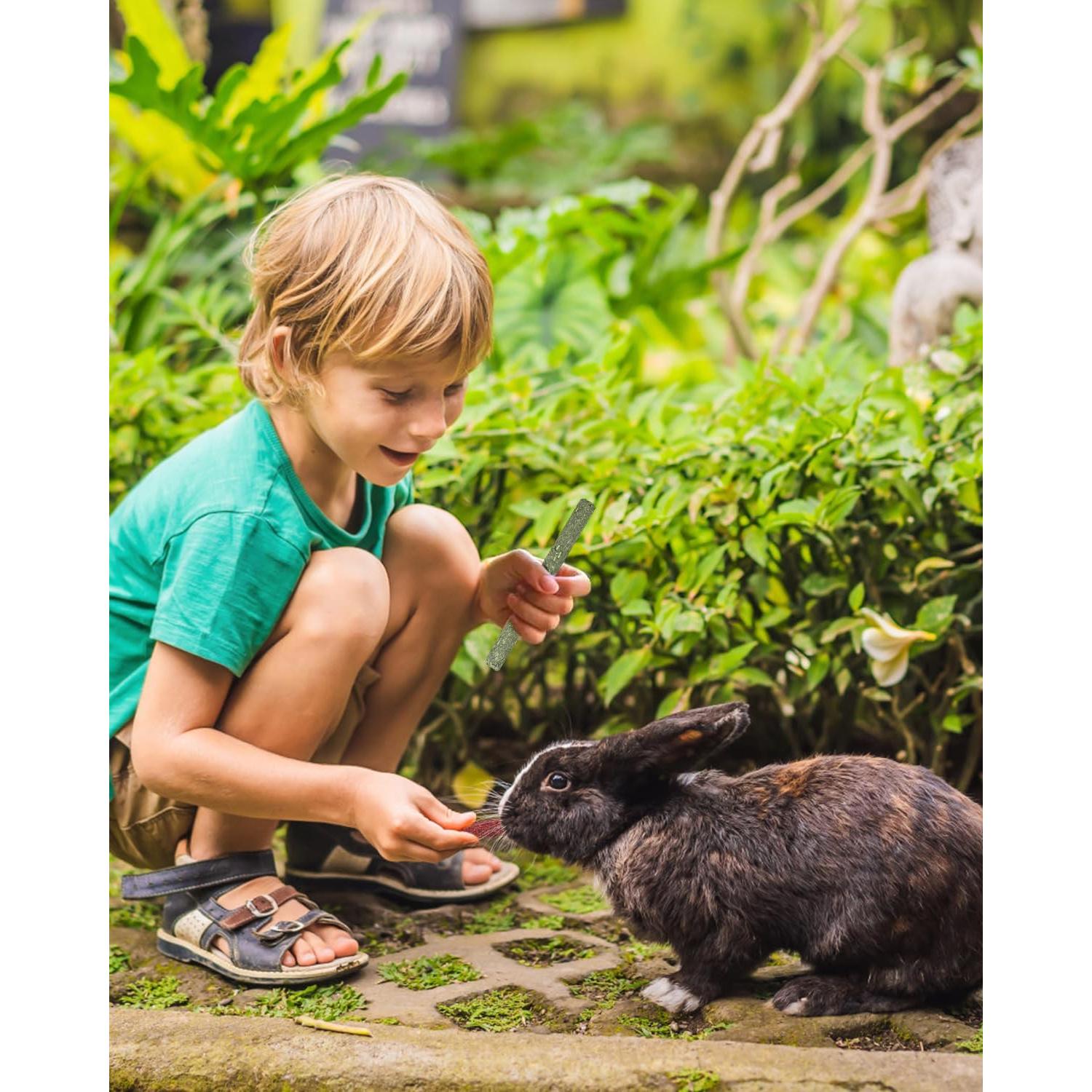 ERKOON 38 Piezas Palitos de Heno Timothy para Roedores