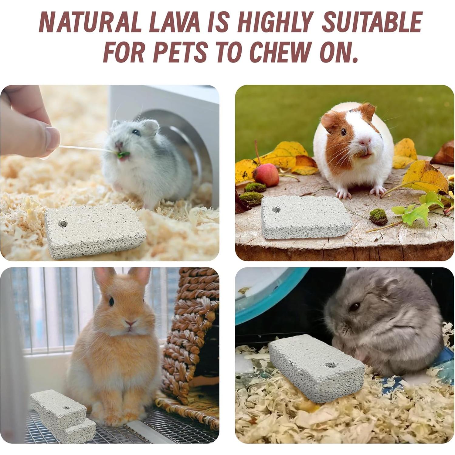 18 Juguetes de Masticar para Mascotas HZJPIN - Piedra Lava Natural