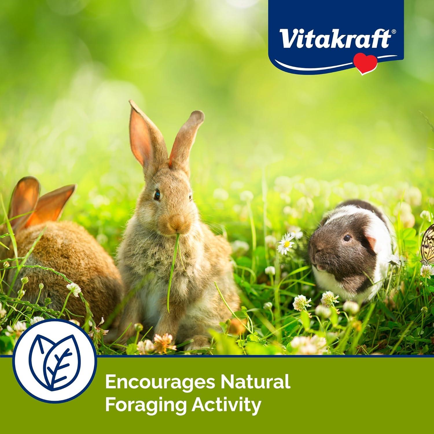 Golosina Vitakraft Veggie & Fruity Pie para Conejos y Hámsters