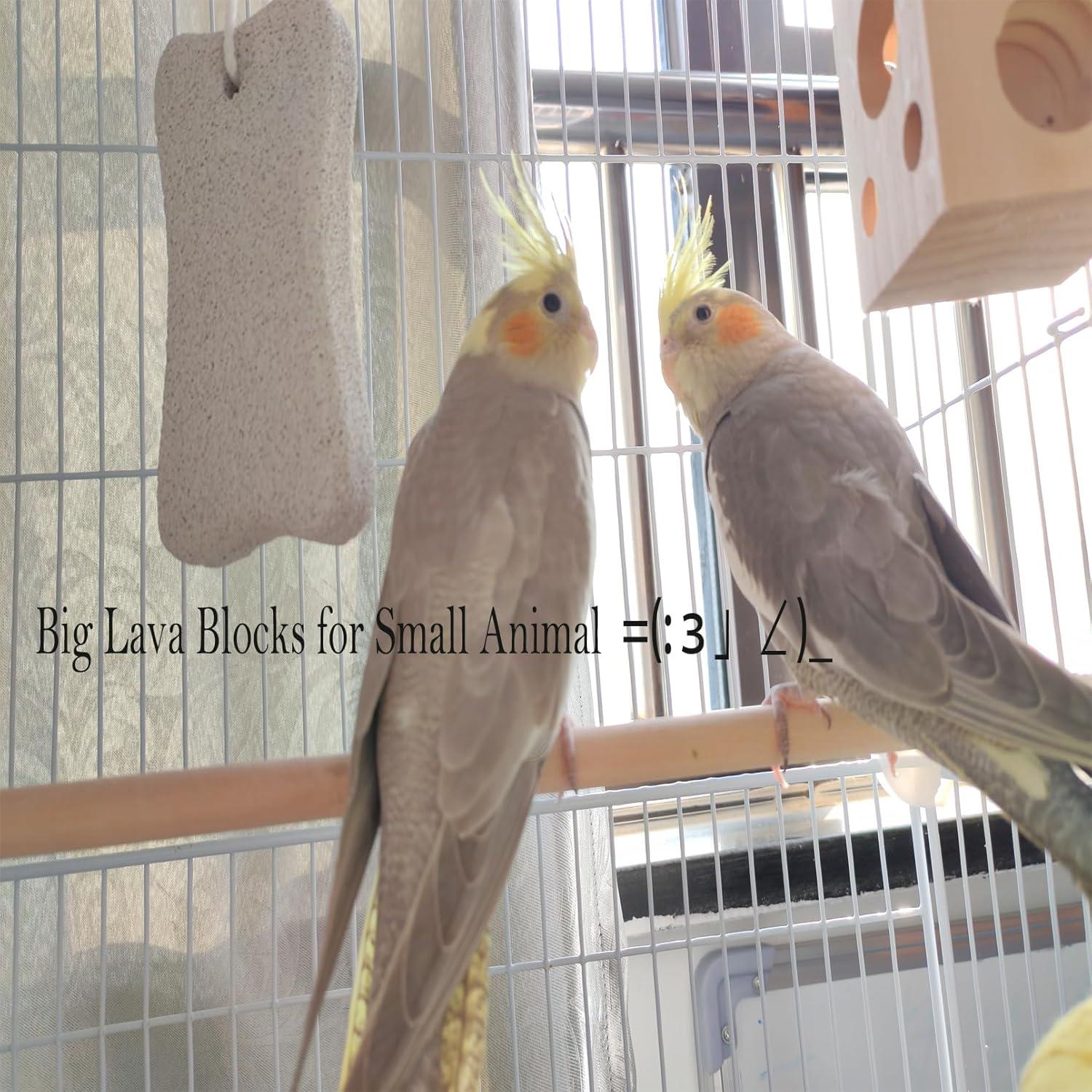 Bloques de Lava para Conejos MUYG - 6 Juguetes Masticar 13 cm