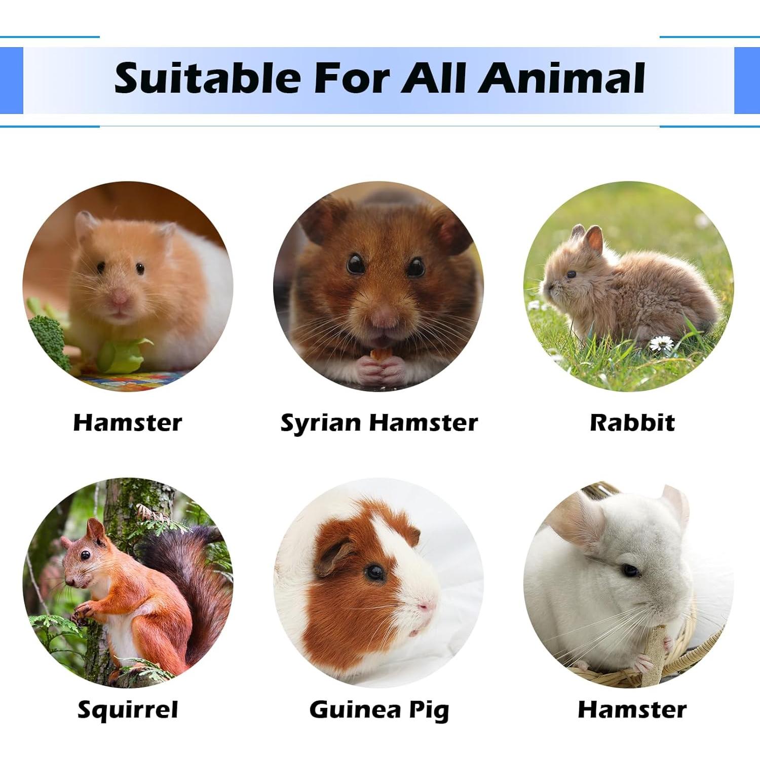 Bloques de Lava para Conejos MUYG - 6 Juguetes Masticar 13 cm