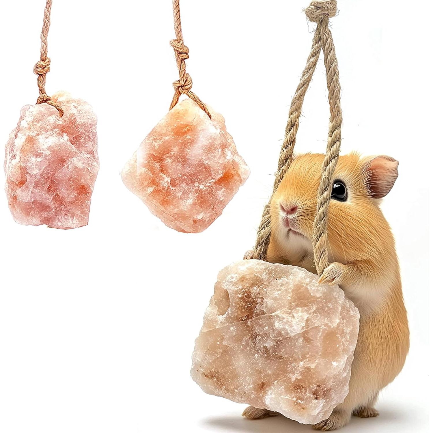 Golosinas y Juguetes de Masticar para Conejos KR. LIF - 6 Piezas