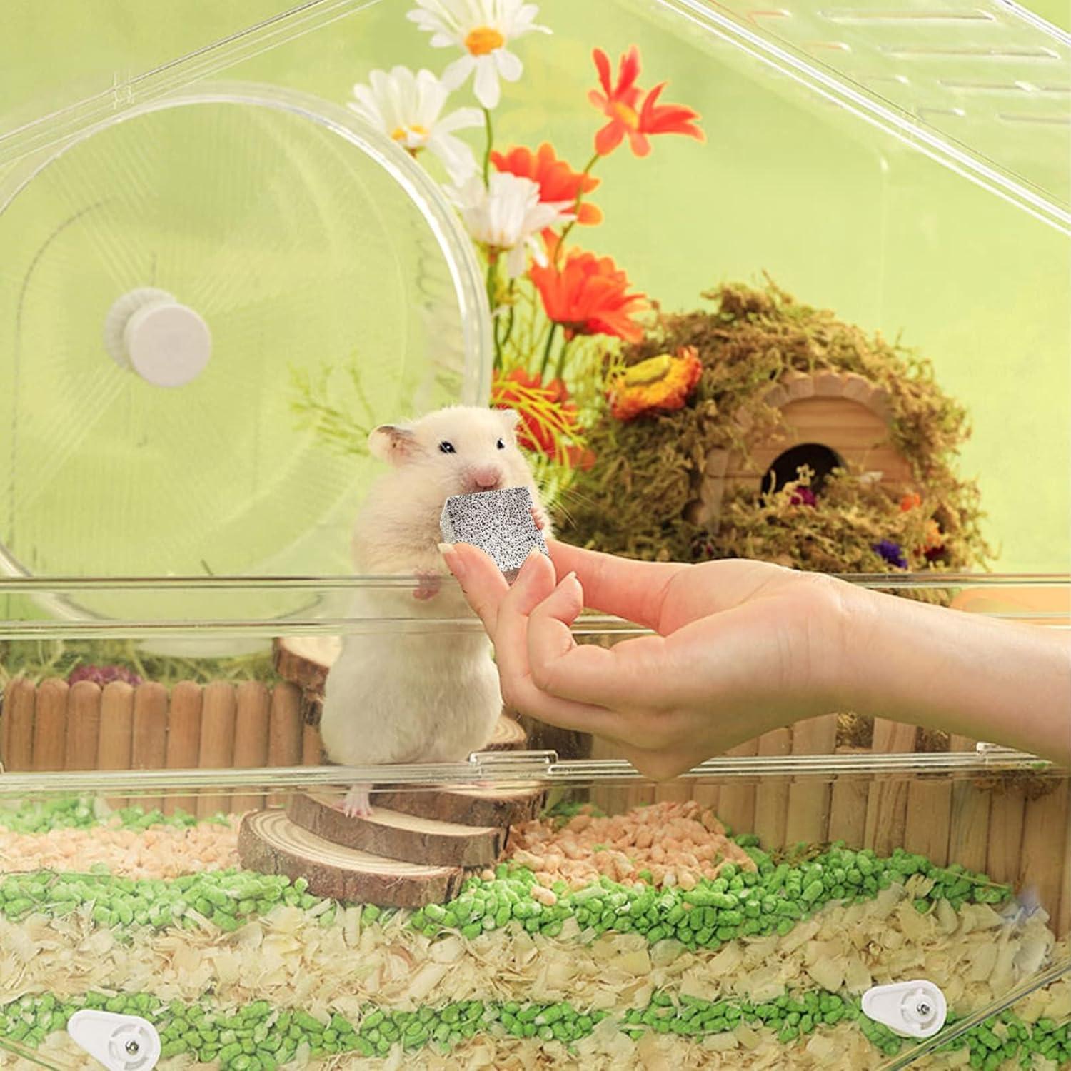 20 Pcs Bloques de Lava Hamiledyi para Chinchillas y Conejos