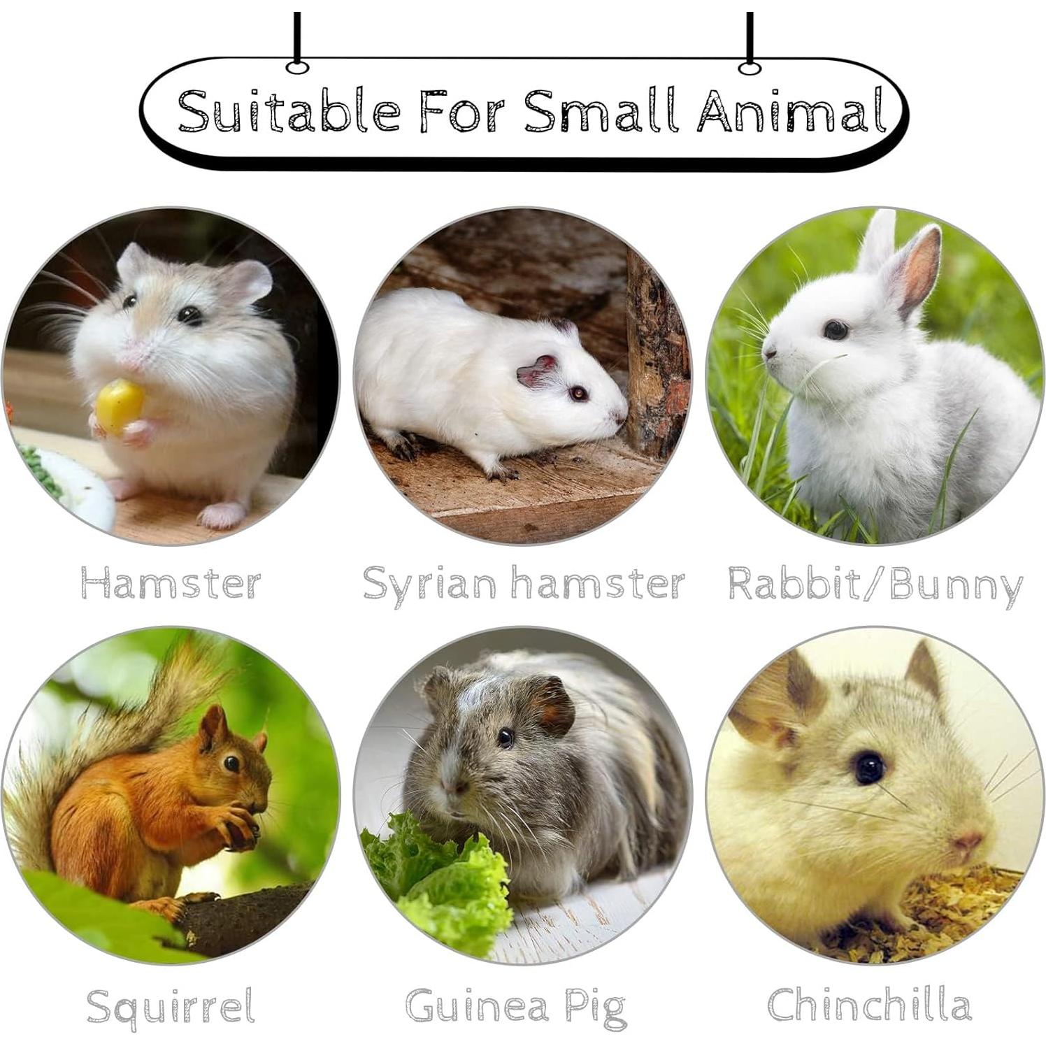 20 Pcs Bloques de Lava Hamiledyi para Chinchillas y Conejos