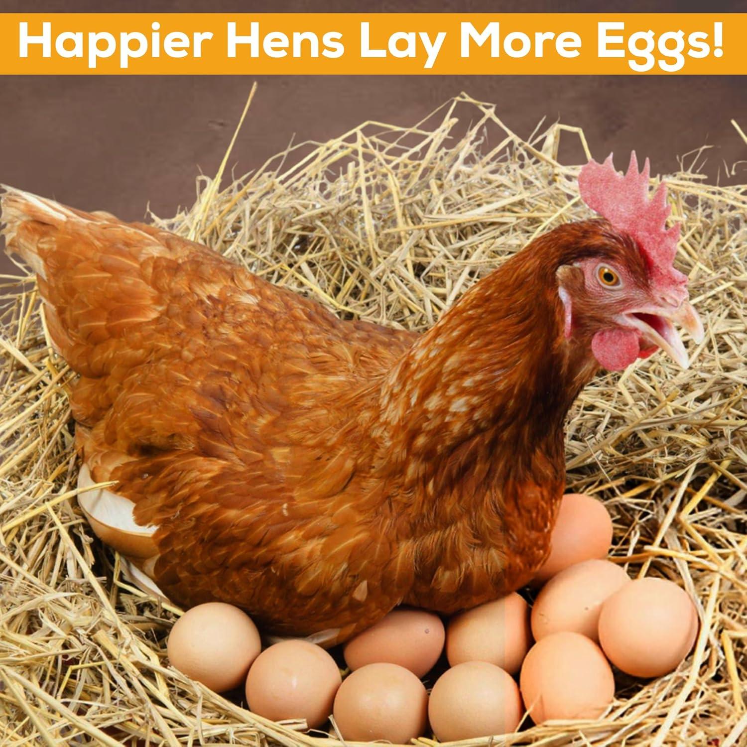 Mezcla de Arena para Baño de Pollo Spanielbuns 2.27 kg