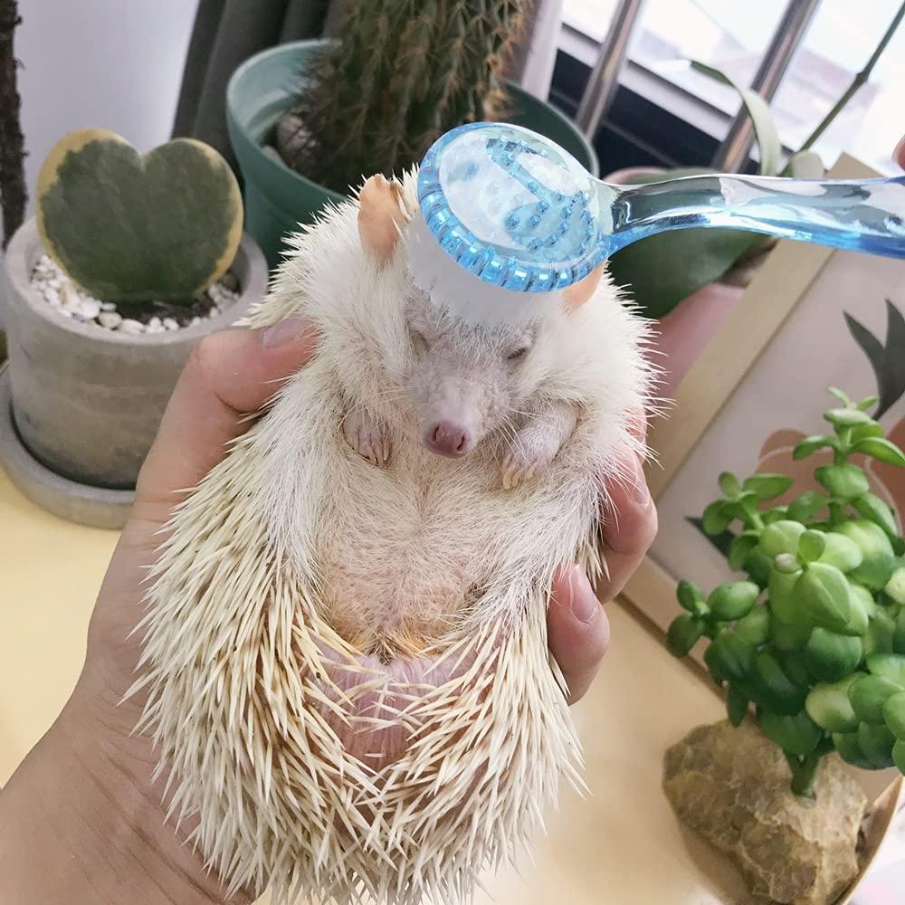 Set de 2 Cepillos de Baño para Mascotas WOLEDOE - Azul