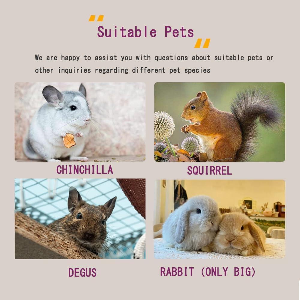 Casa de Chinchilla de Madera Natural 2 Pisos CHIIRAKU 30x19cm