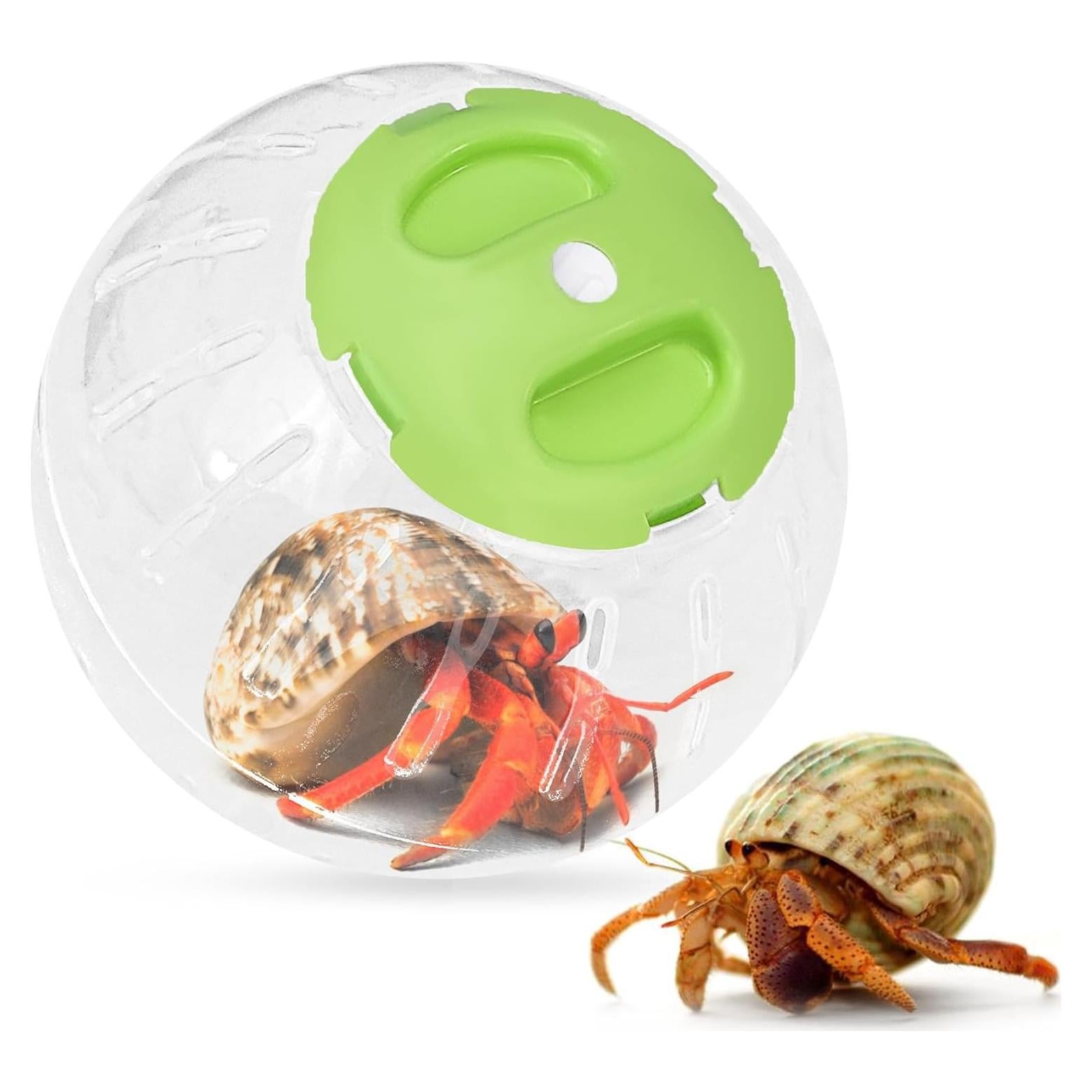 Bola de Juguete para Cangrejo Ermitaño U0U 9.95 cm Verde