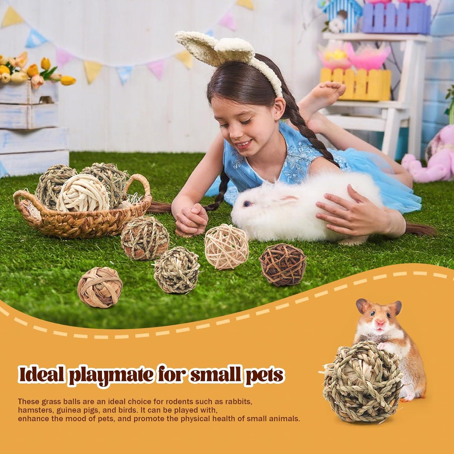 Bolas de Hierba para Masticar Bac-kitchen 6.1 cm - 17 Pcs