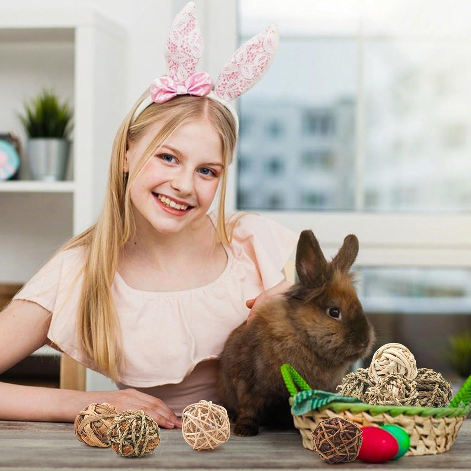 Bolas de Hierba para Masticar Bac-kitchen 6.1 cm - 17 Pcs