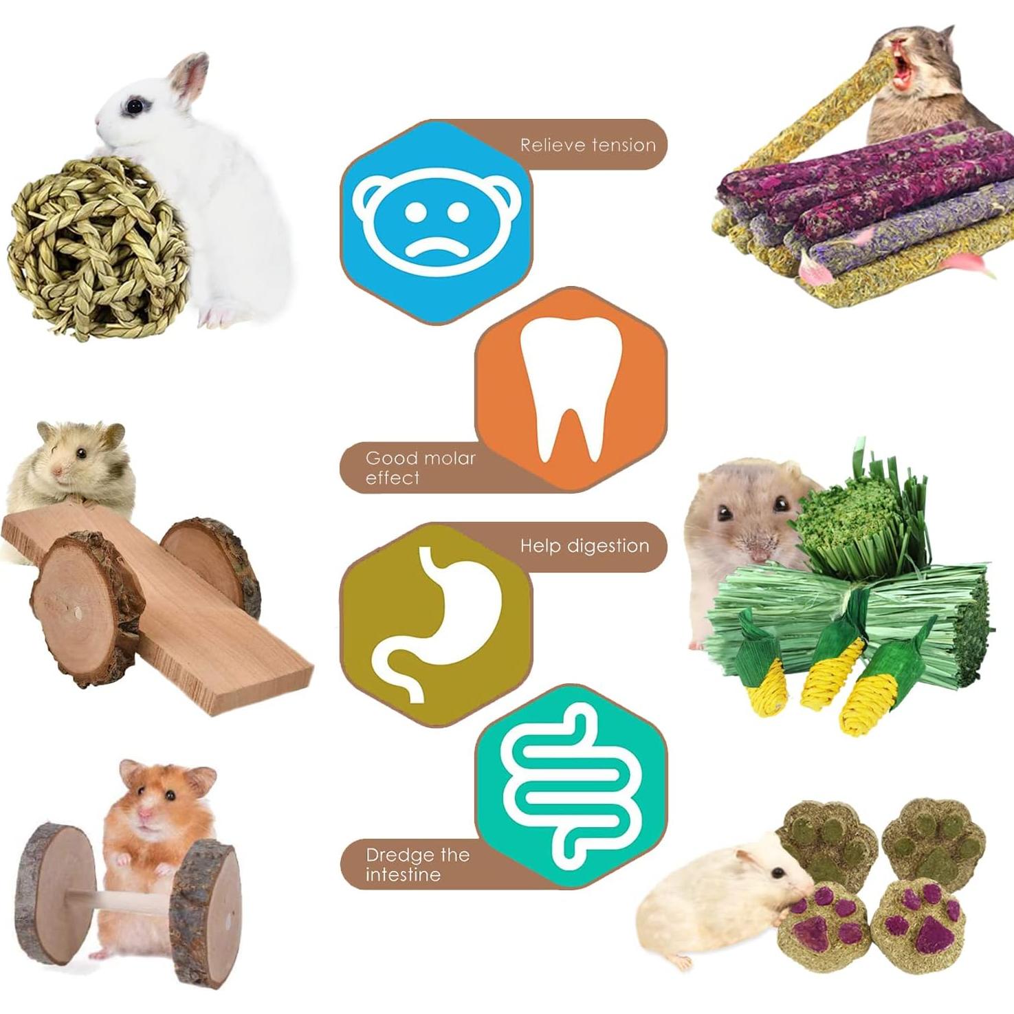 Juguetes de Madera para Cobayas y Conejos - Set de 10 Piezas