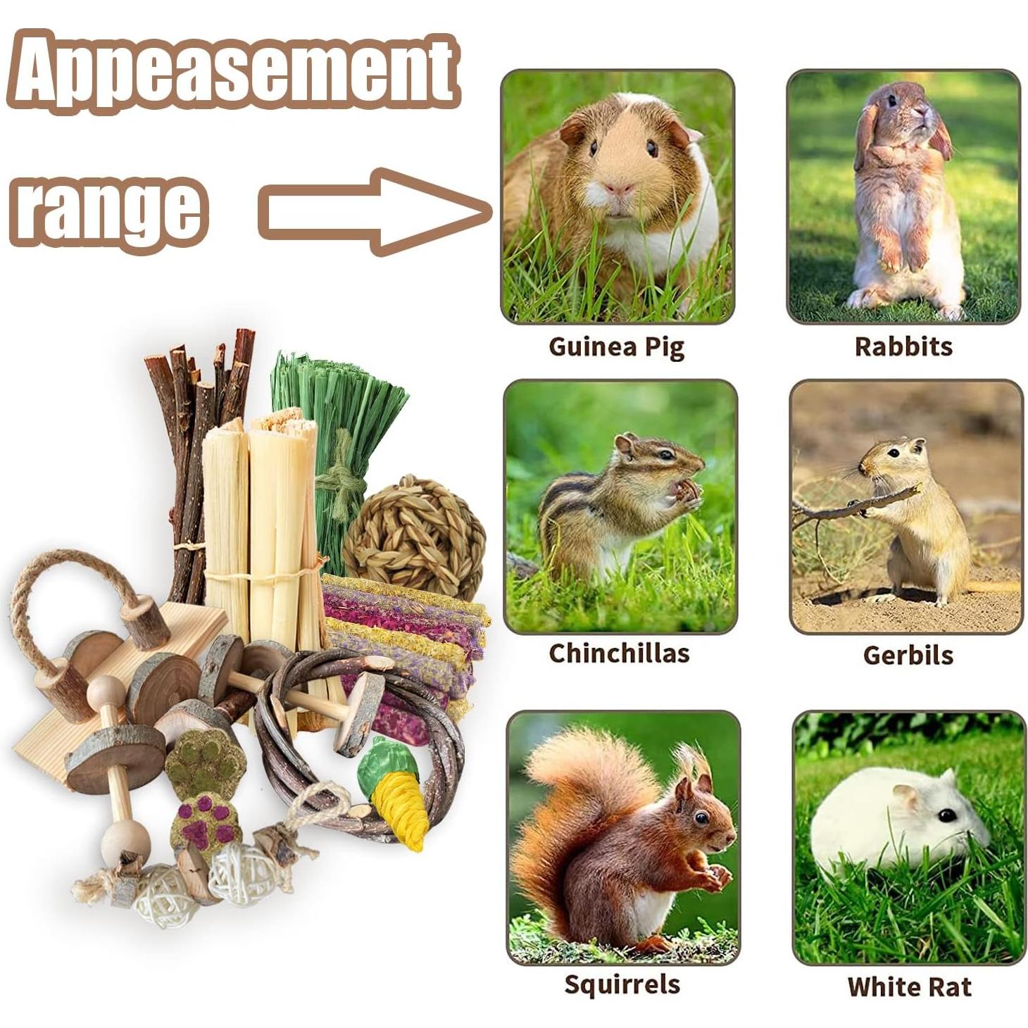 Juguetes de Madera para Cobayas y Conejos - Set de 10 Piezas