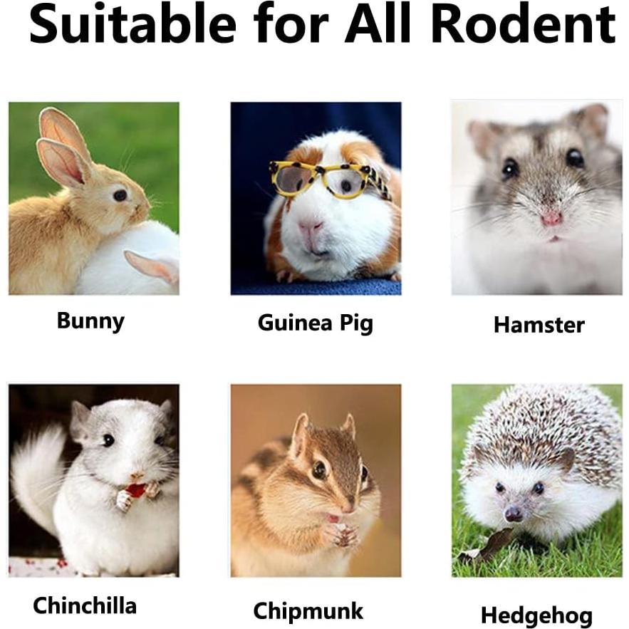 Juguetes de golosinas para roedores TANOMA - 11 piezas