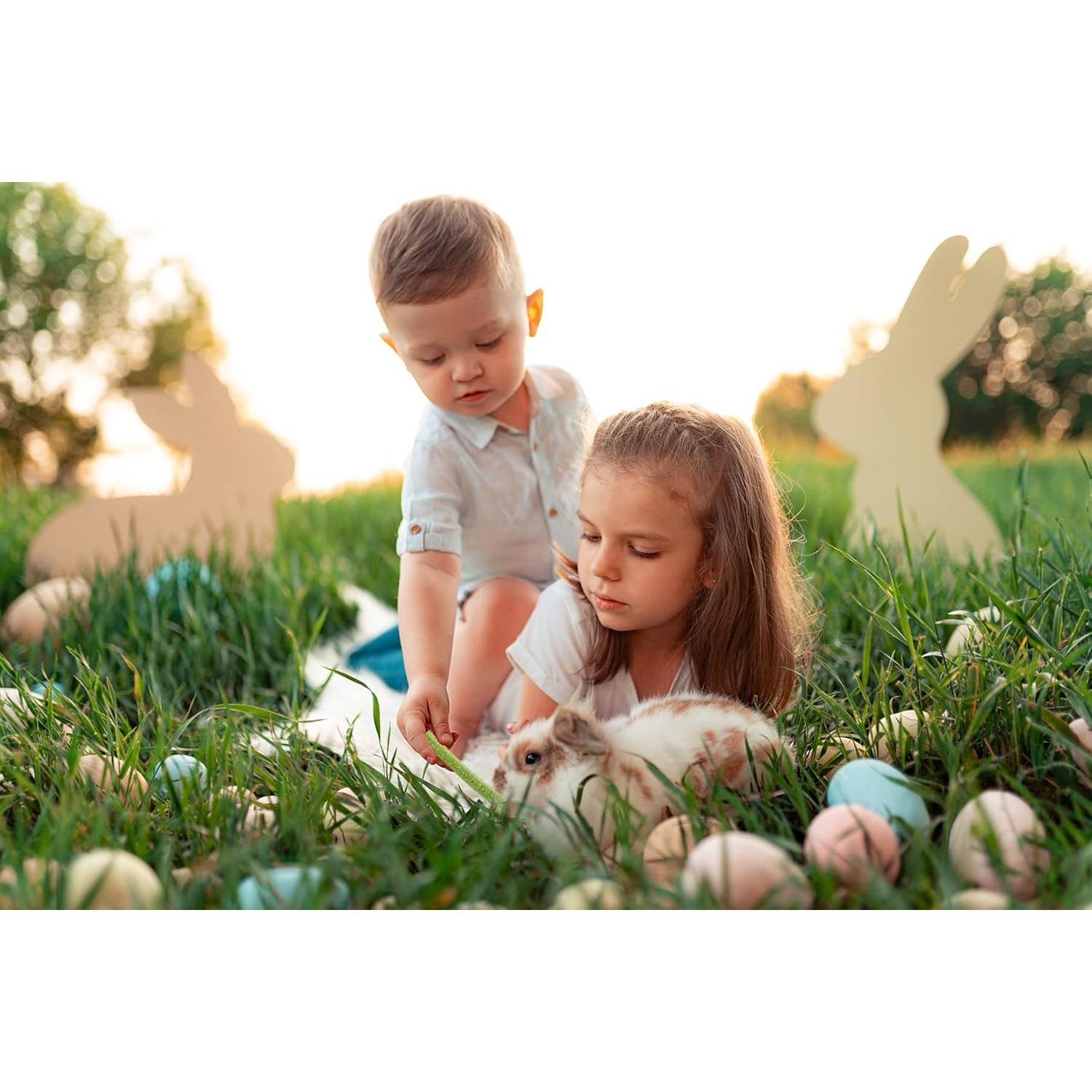 Juguetes de golosinas para roedores TANOMA - 11 piezas