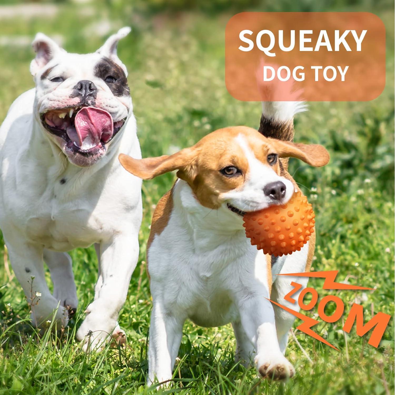 Pelota de Perro Squeaky Apasiri 8.89 cm Goma Naranja