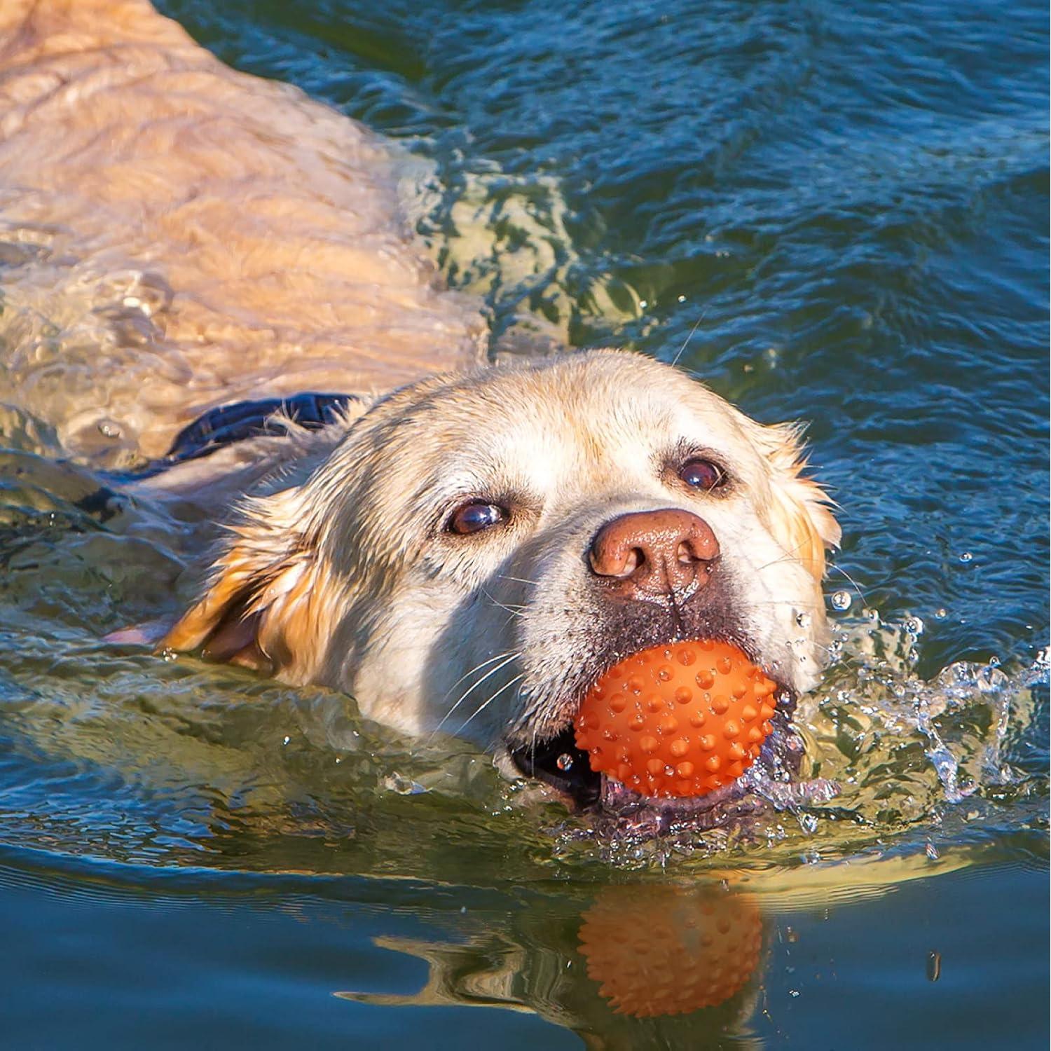 Pelota de Perro Squeaky Apasiri 8.89 cm Goma Naranja