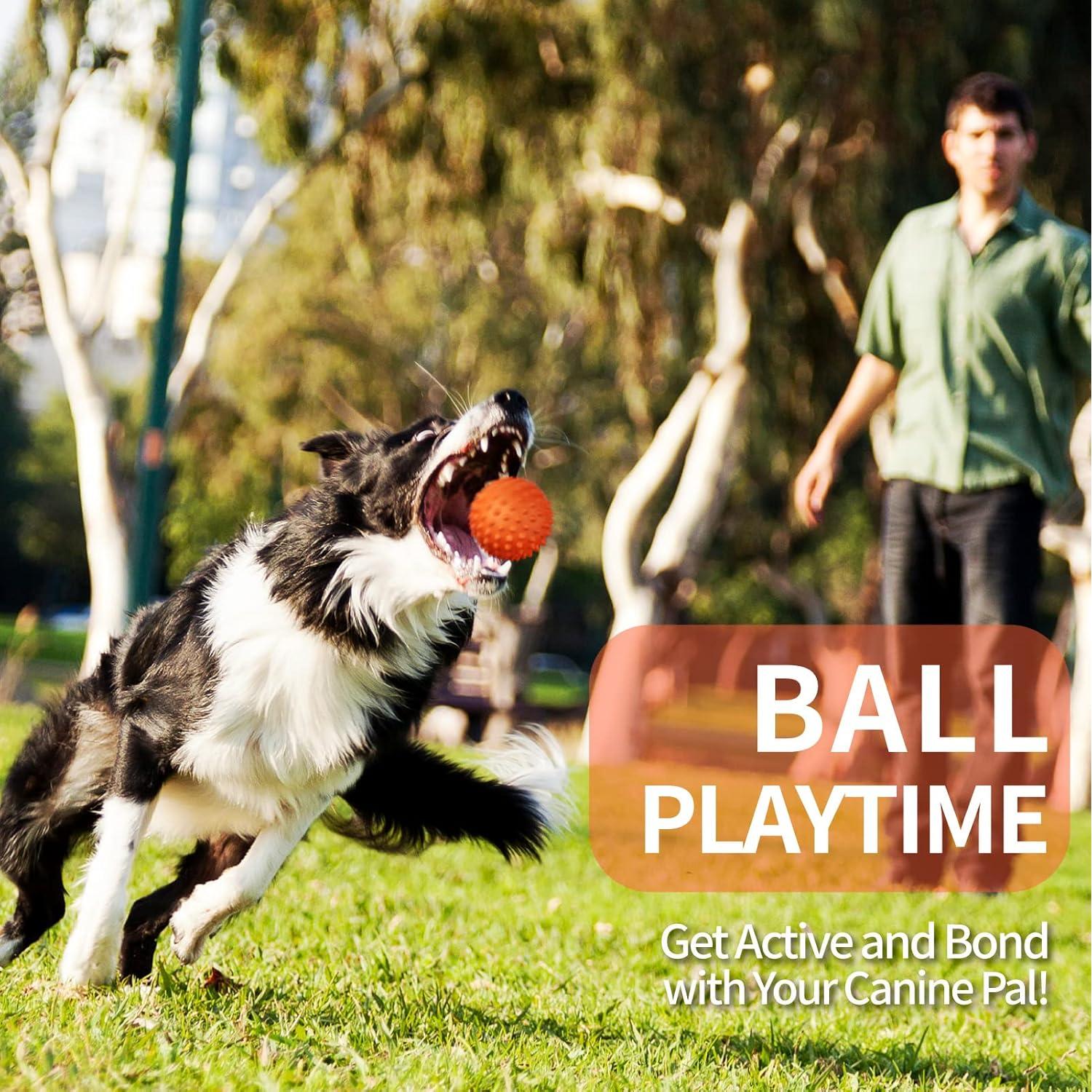 Pelota de Perro Squeaky Apasiri 8.89 cm Goma Naranja