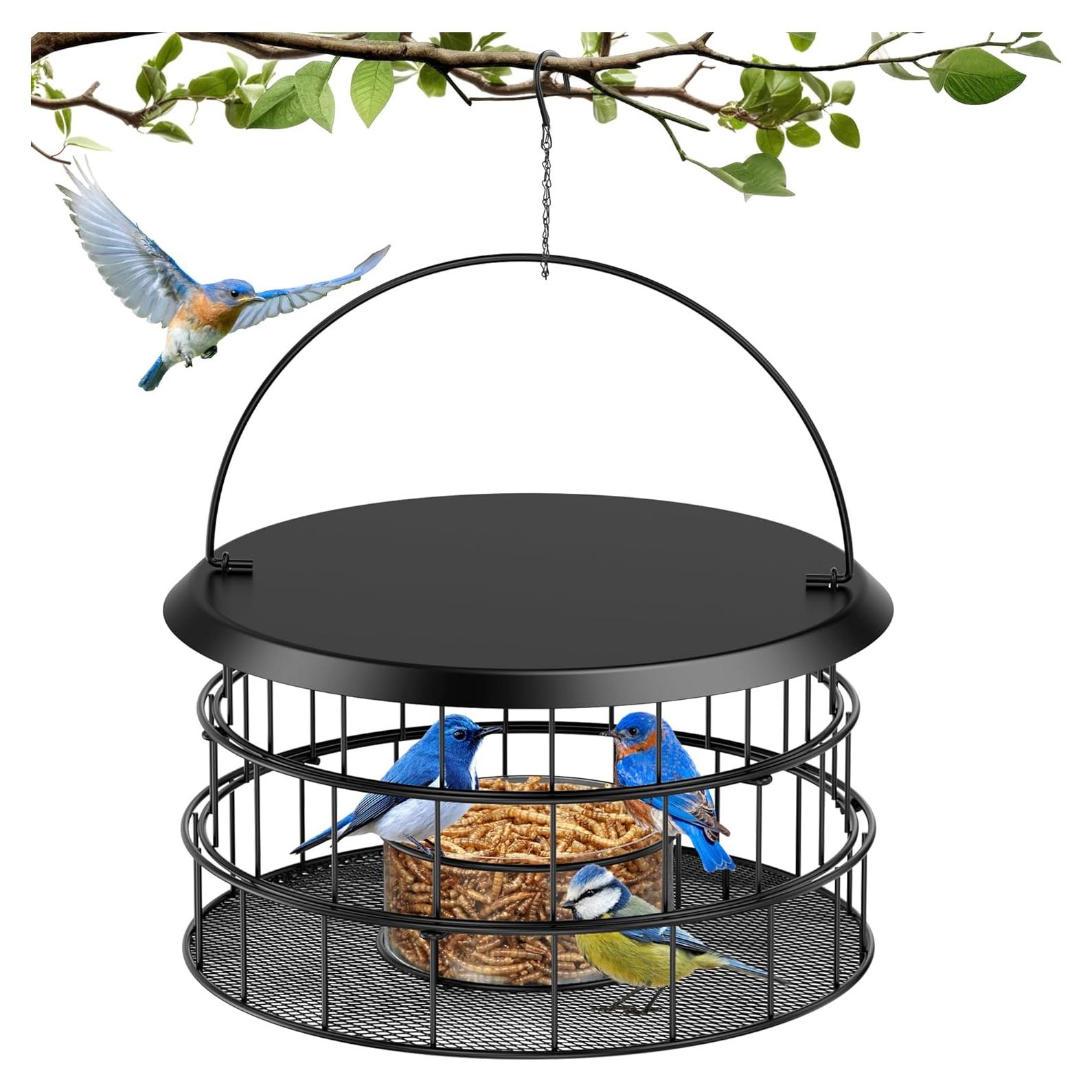 Comedero colgante para Bluebirds HAVENATURE - A prueba de ardillas