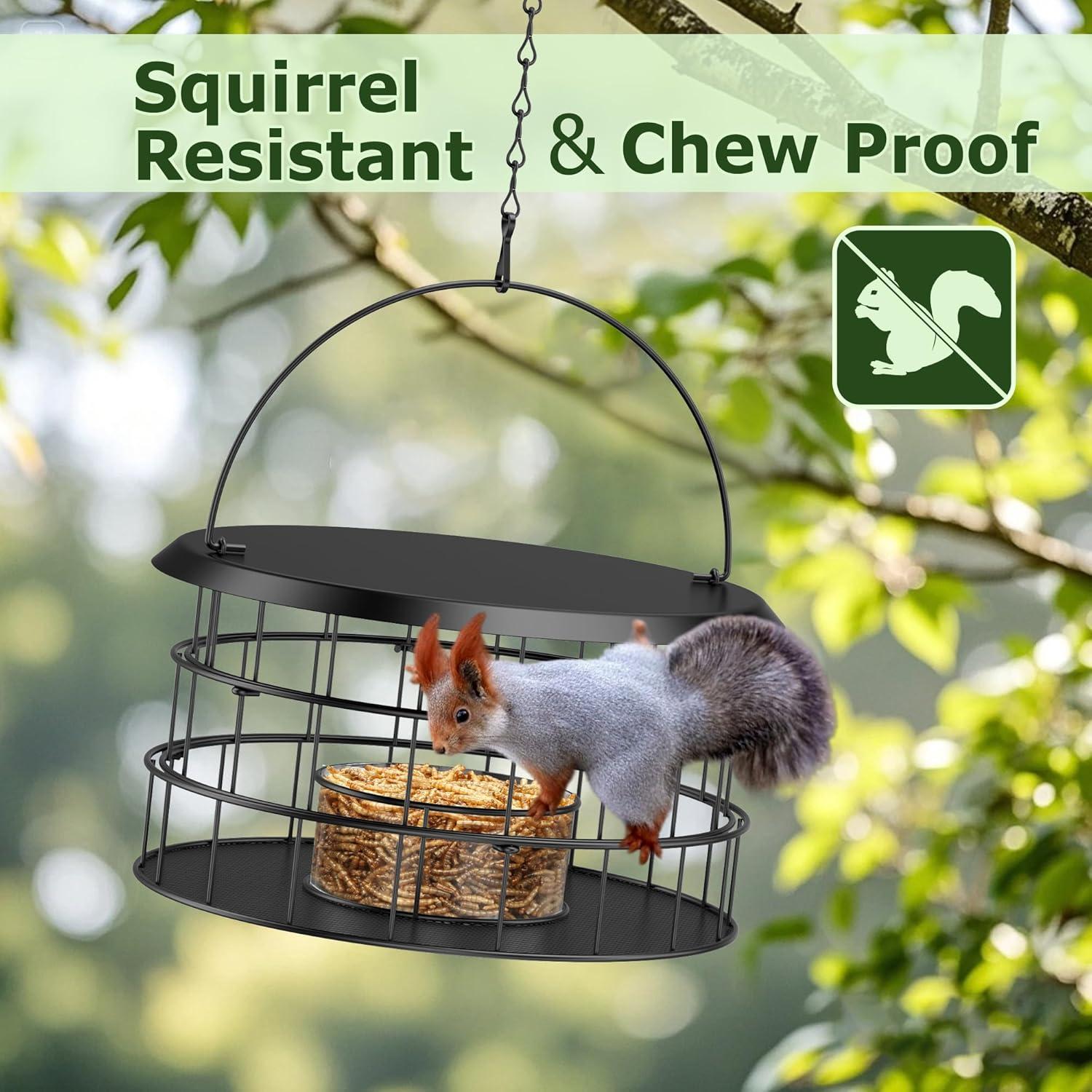 Comedero colgante para Bluebirds Trieez - A prueba de ardillas