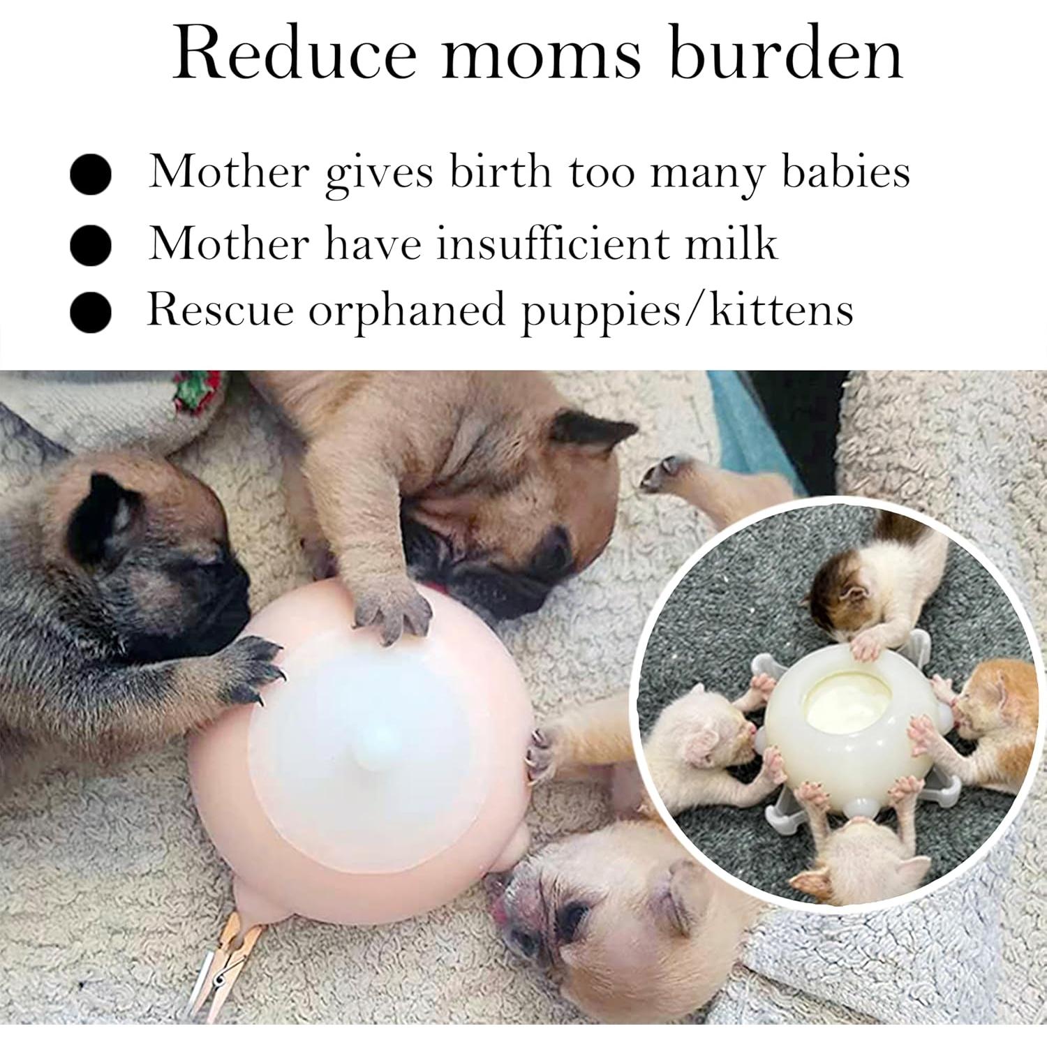 Estación de Alimentación para Cachorros Dongdong 150ml Rosa