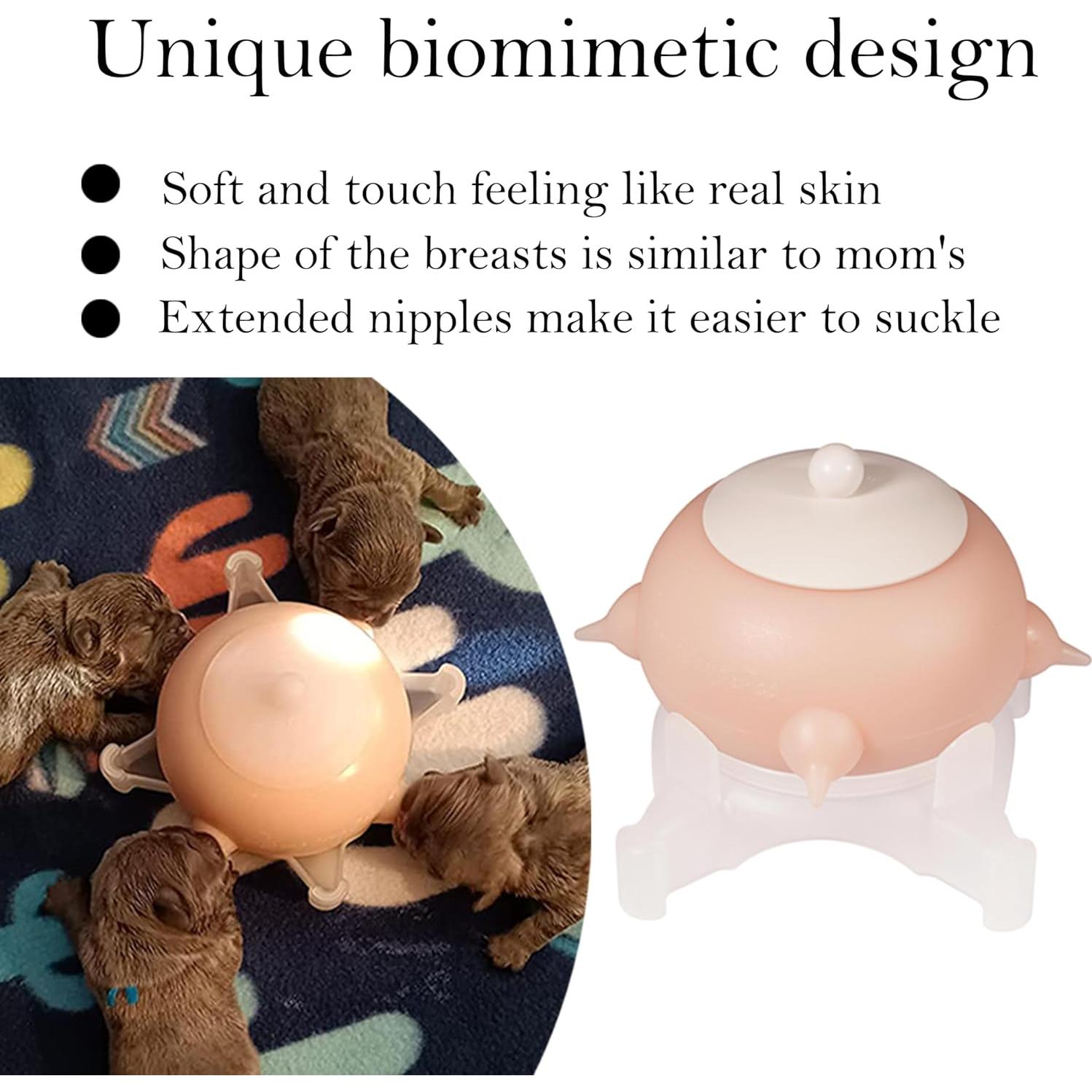 Estación de Alimentación para Cachorros Dongdong 150ml Rosa