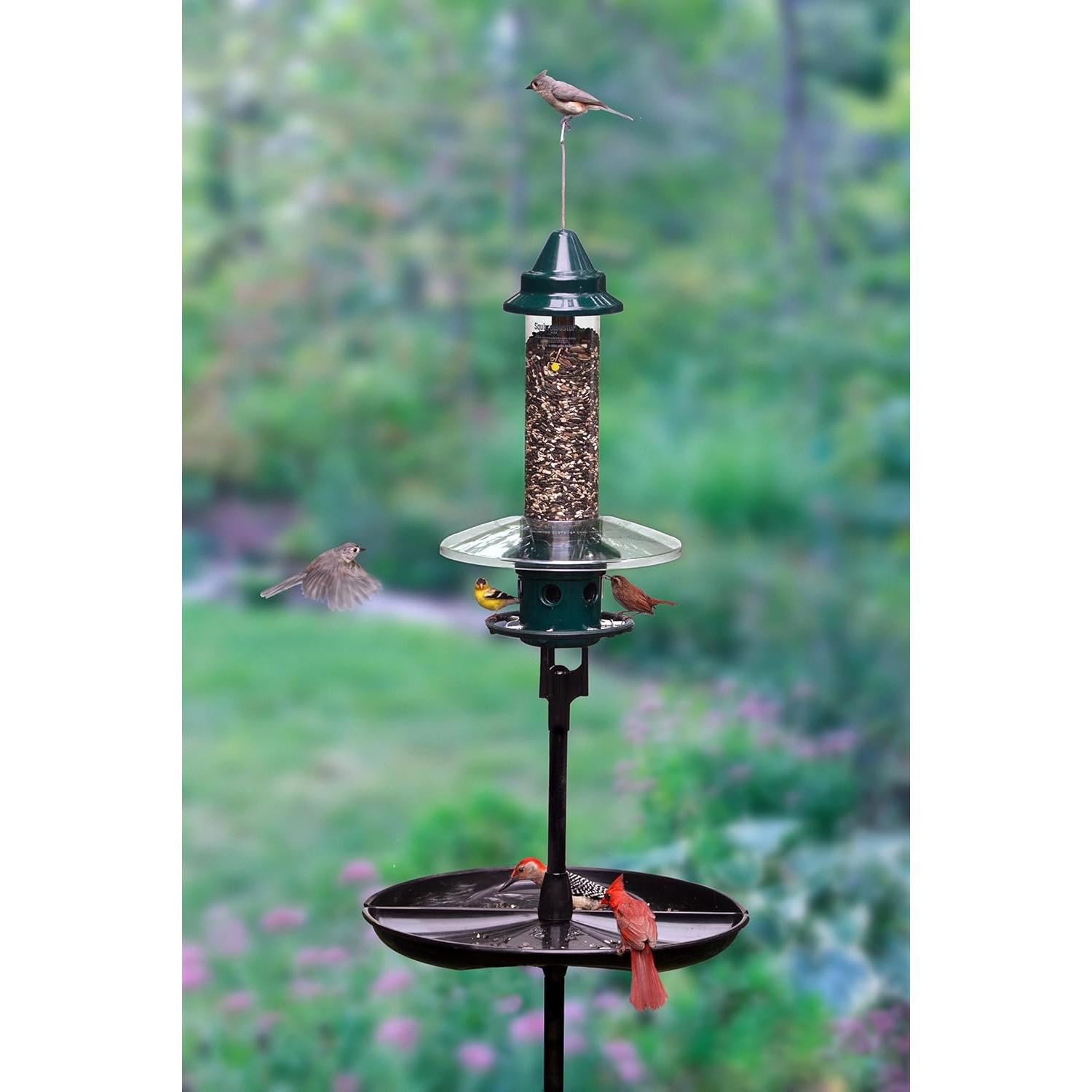 Alimentador de Aves Brome Squirrel Buster Plus con Poste