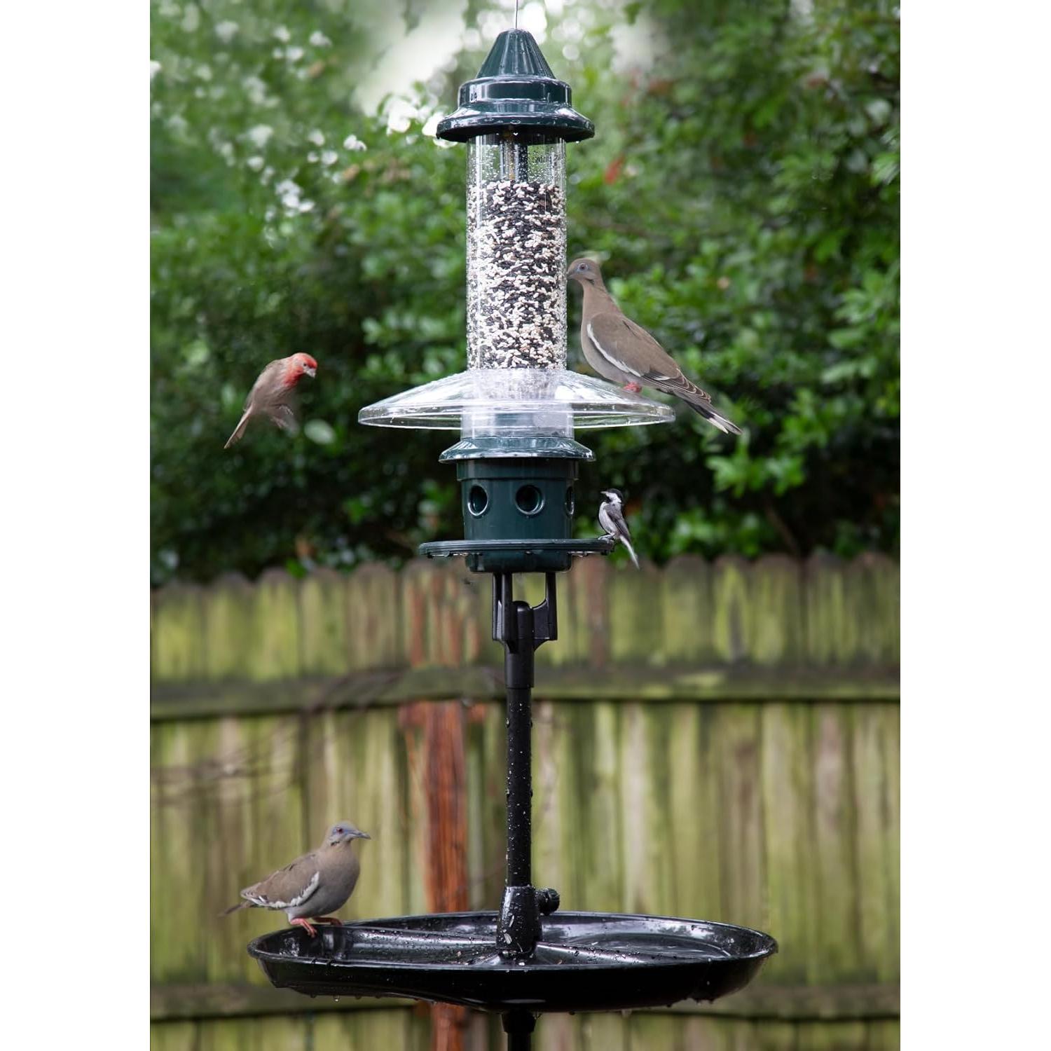 Alimentador de Aves Brome Squirrel Buster Plus con Poste