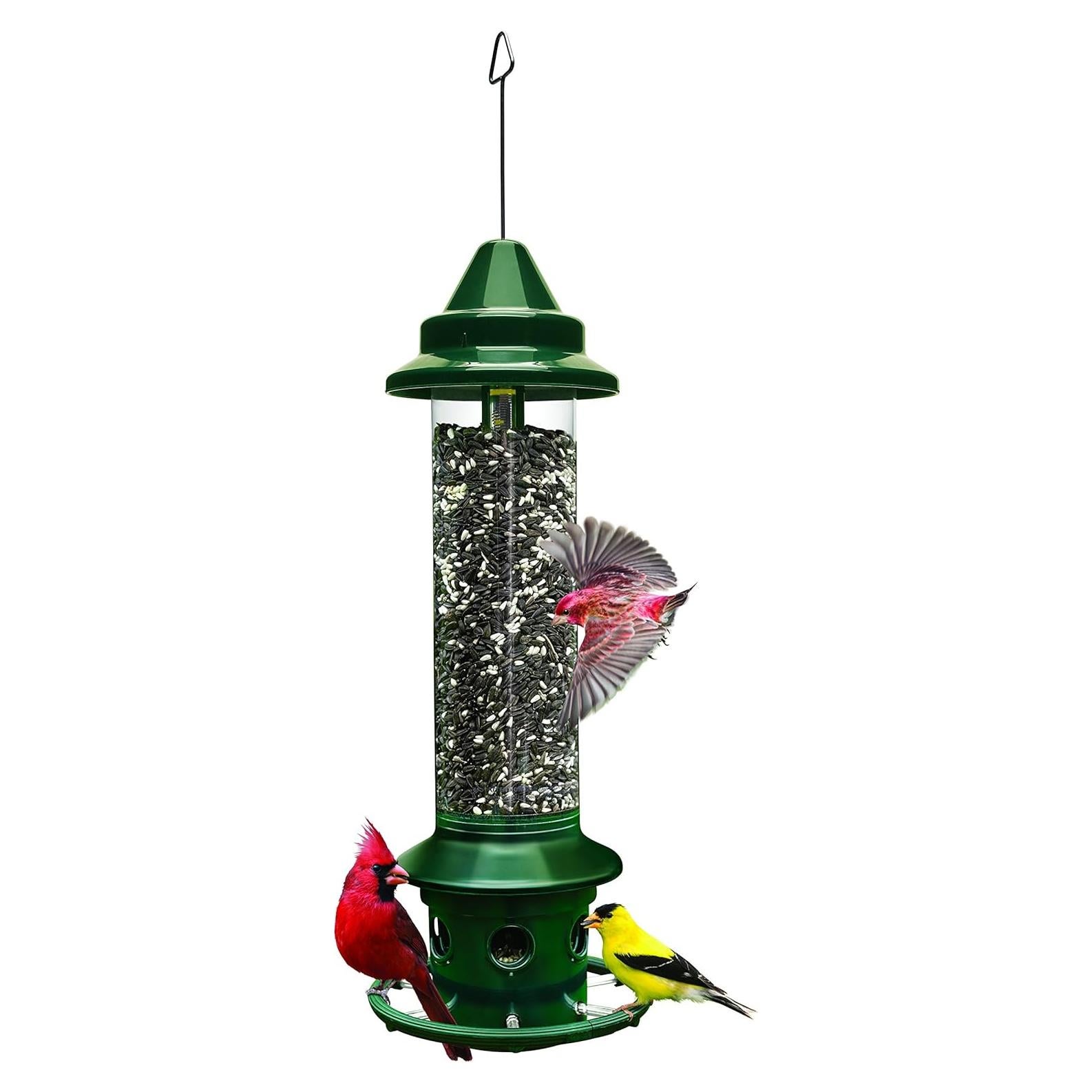 Comedero para Aves Brome Squirrel Buster Plus 2.3 kg Verde