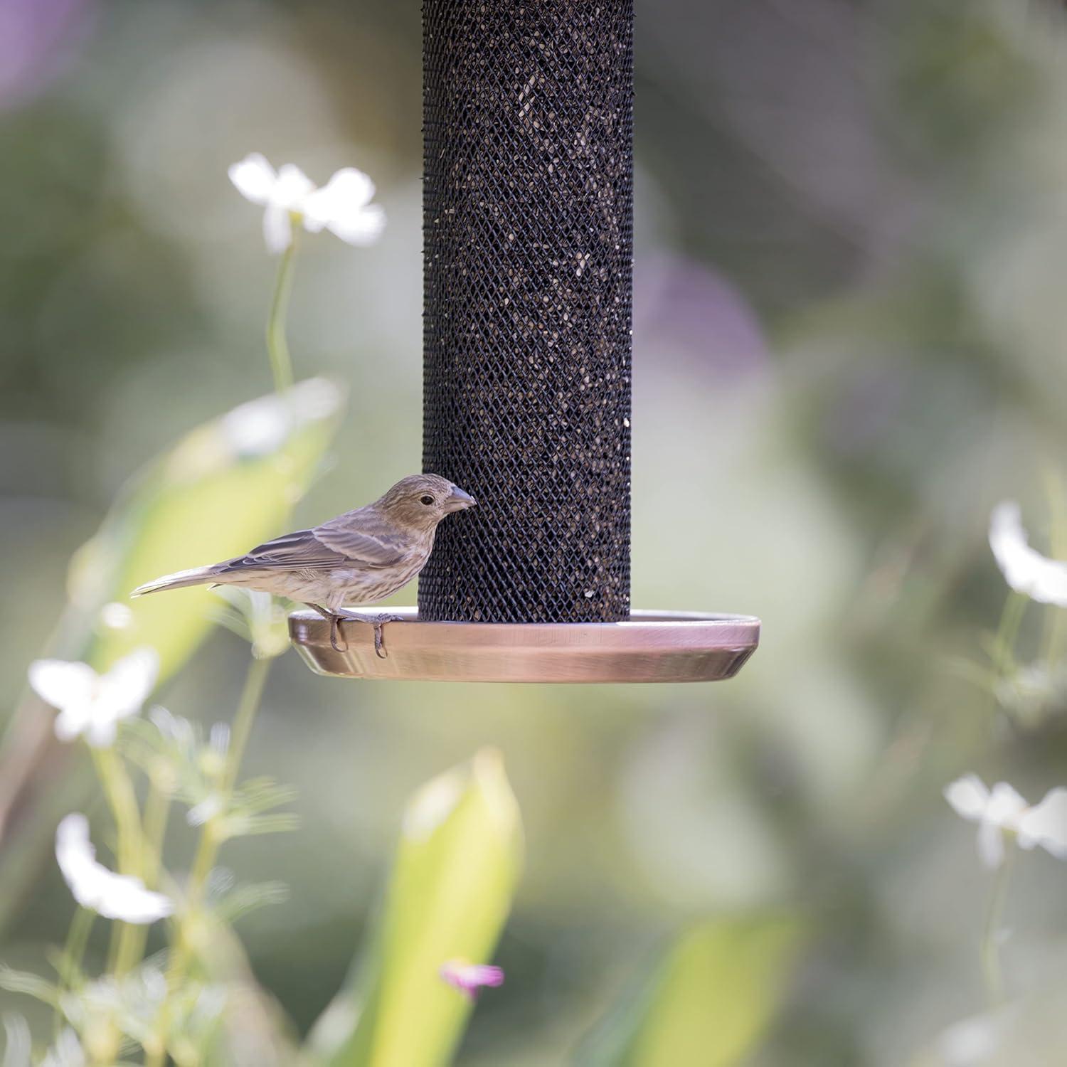 Comedero para Aves Kingsyard Thistle Colgante Metal 1.36 kg