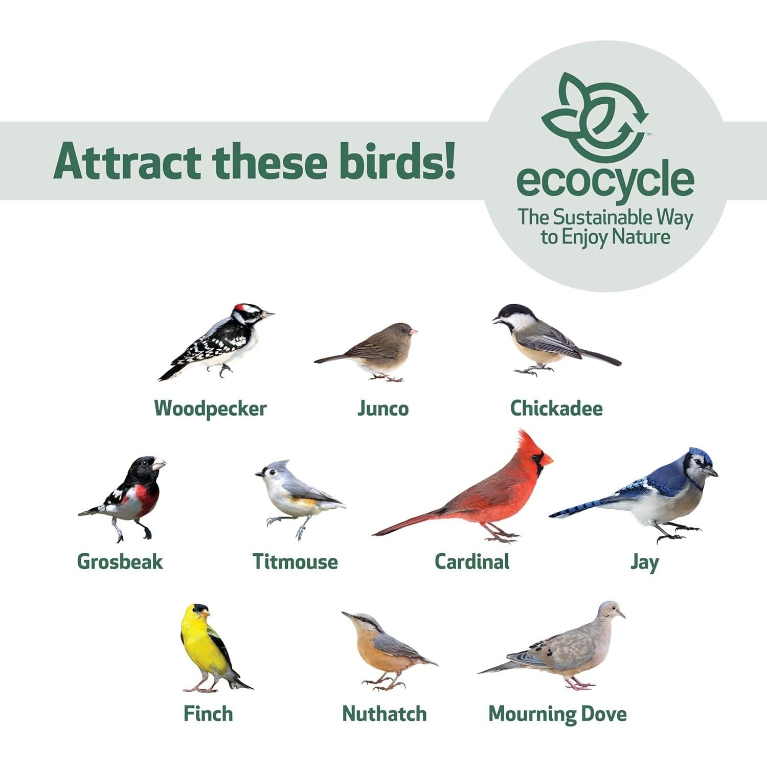 Alimentador de Aves EcoCycle Azul 1.42L Bandeja Colgante