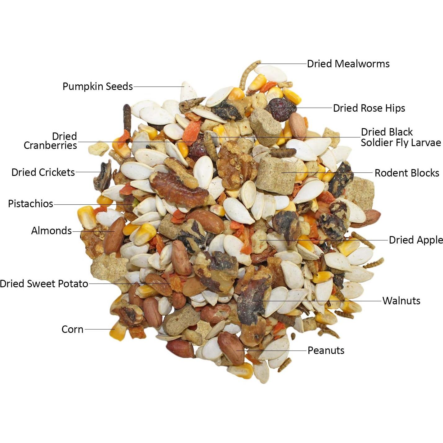 Paquete de Inicio Nutrición Exótica para Ardillas - Comida y Nido