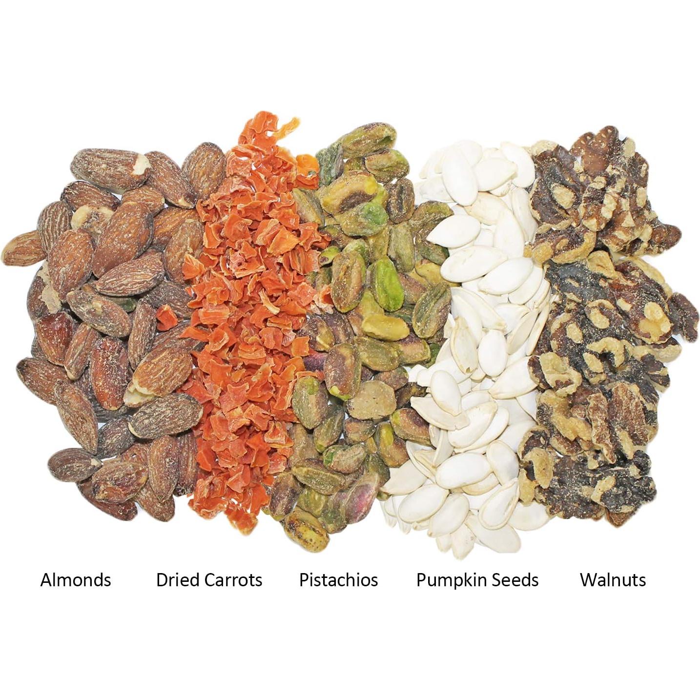 Paquete de Inicio Nutrición Exótica para Ardillas - Comida y Nido